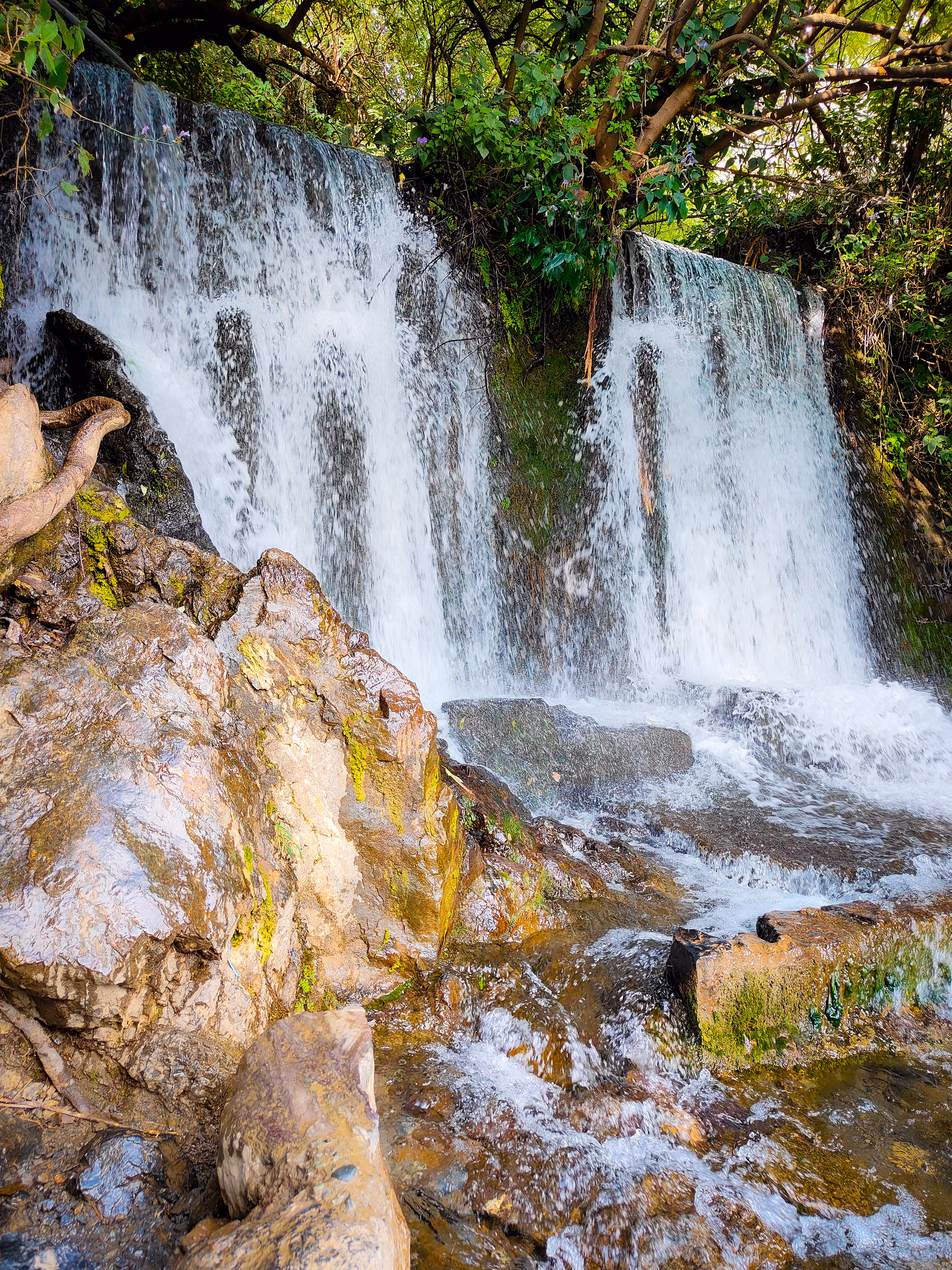 Nature's Shower 