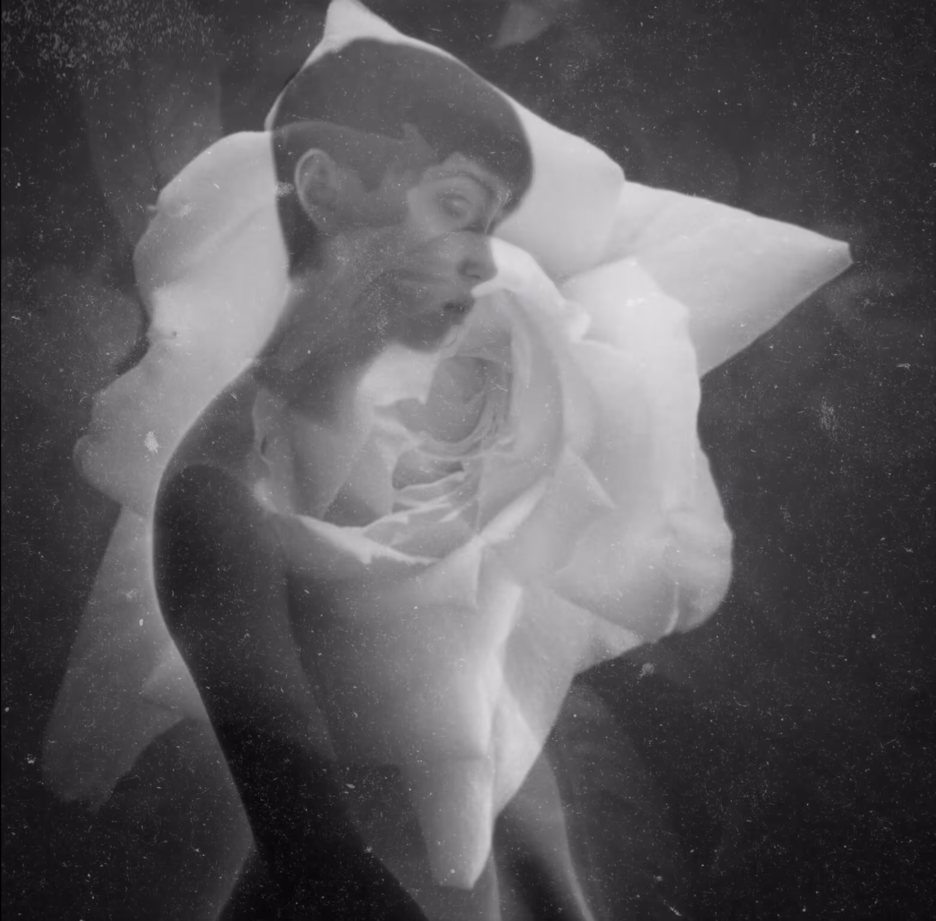 Rose the Ghost