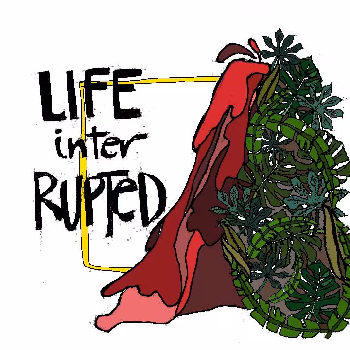 life inter rupted.