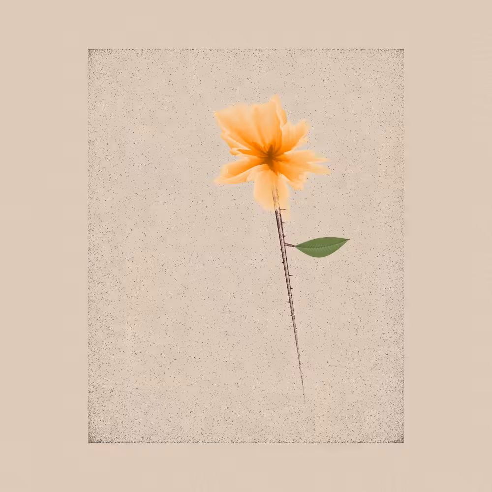 Magnolia #16