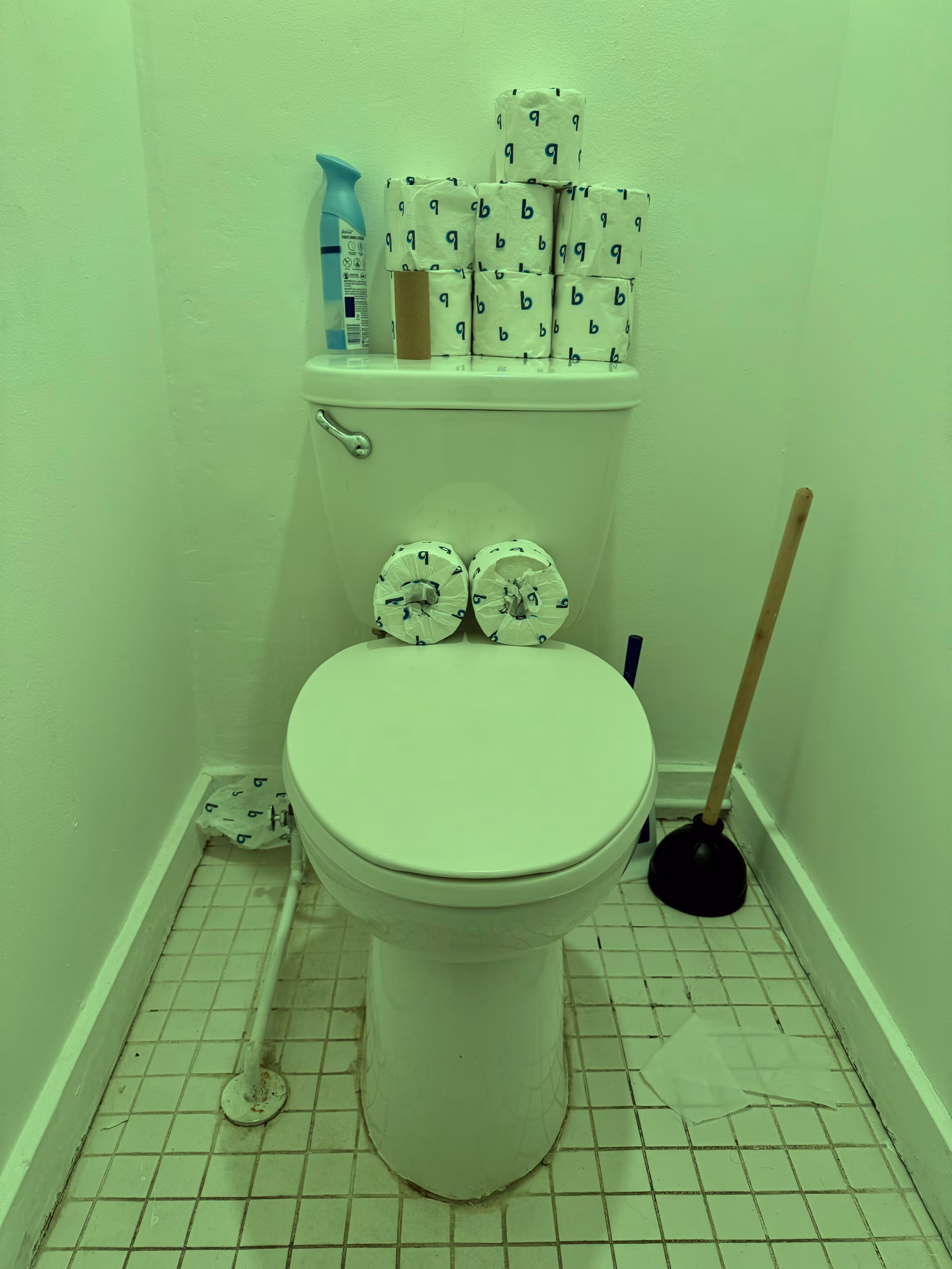 Pepe Toilets NYC #47
