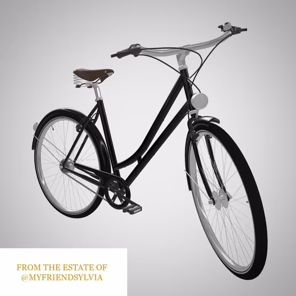 Sylvia's Bike