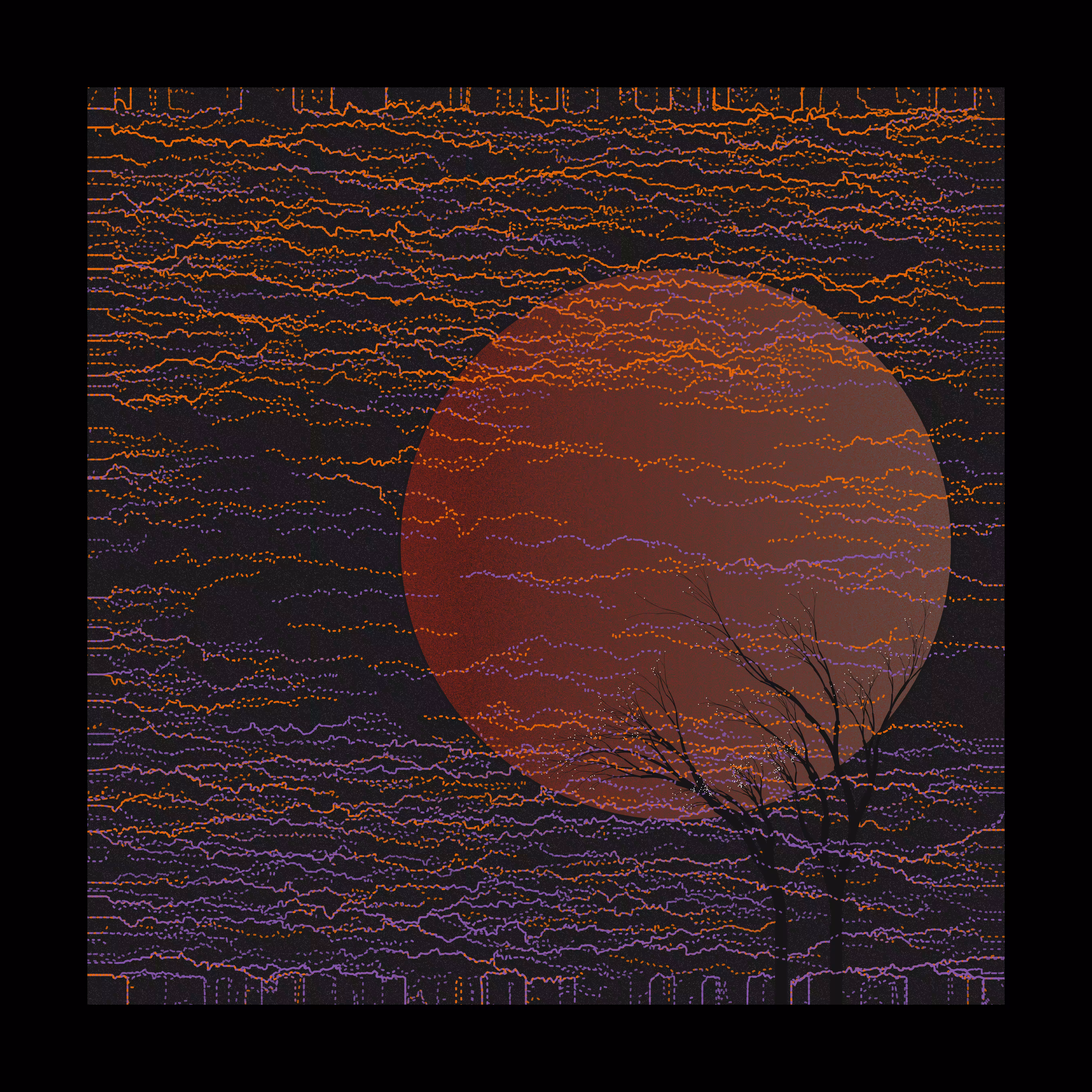 Quirky Field 15