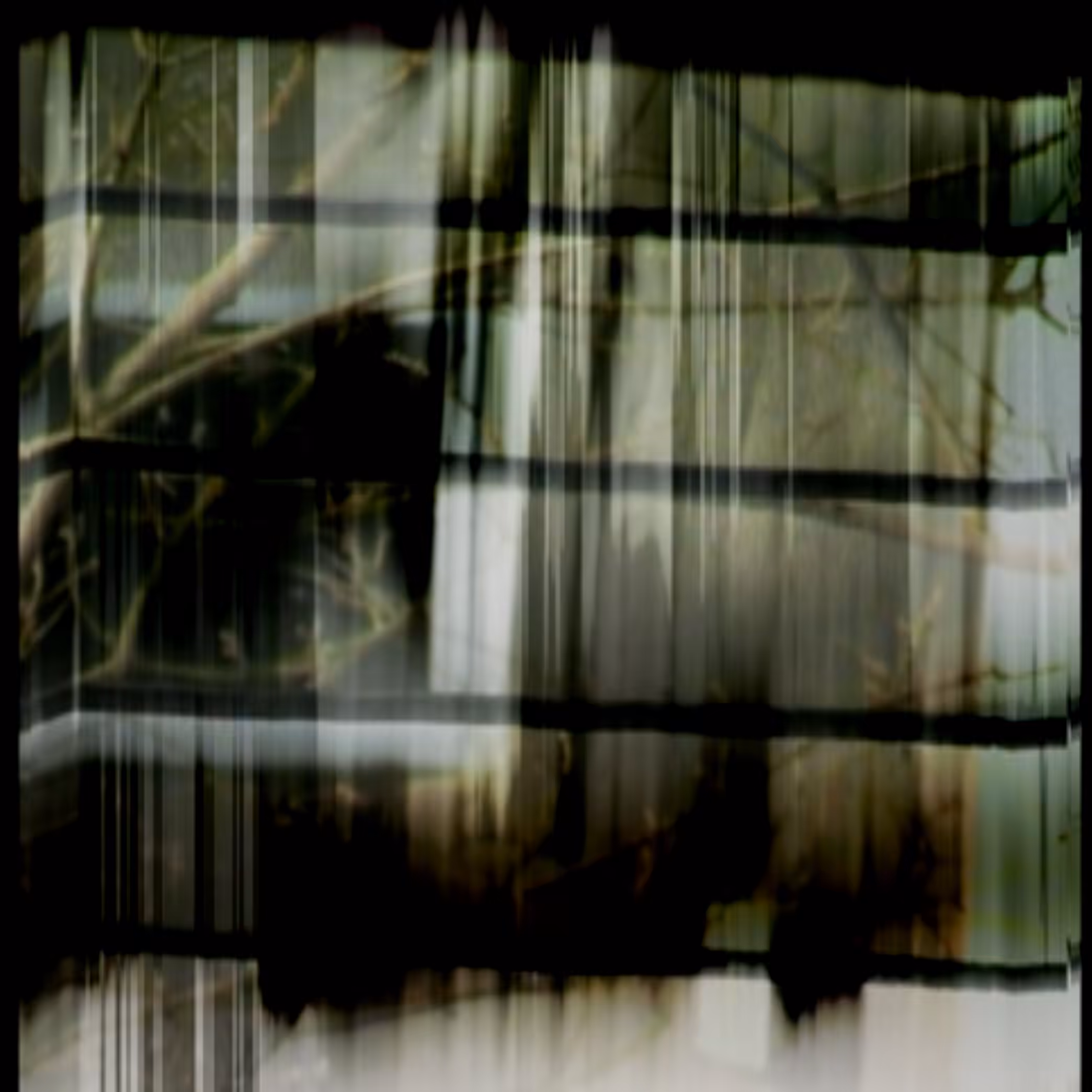 vhs dream 0063