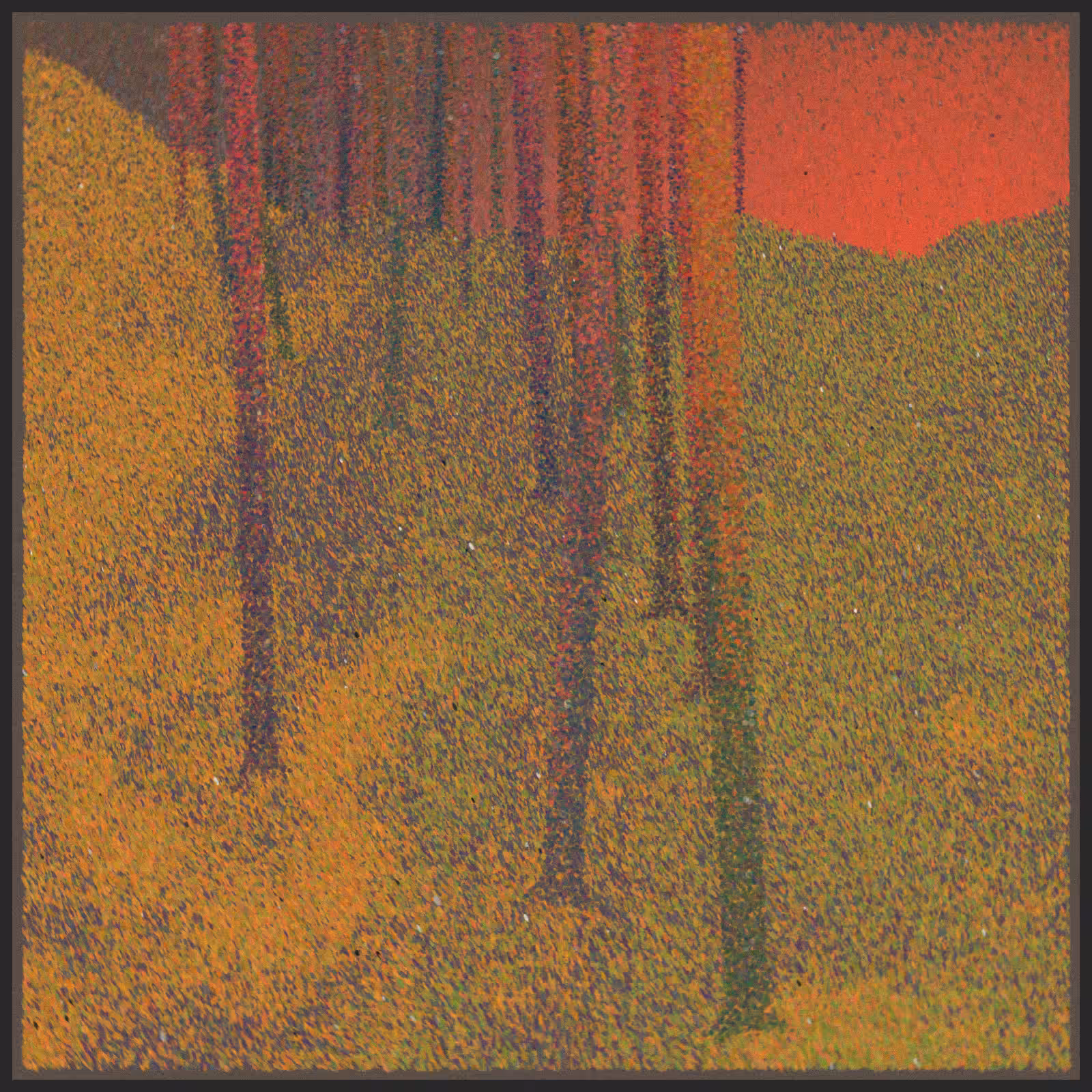 forest #38