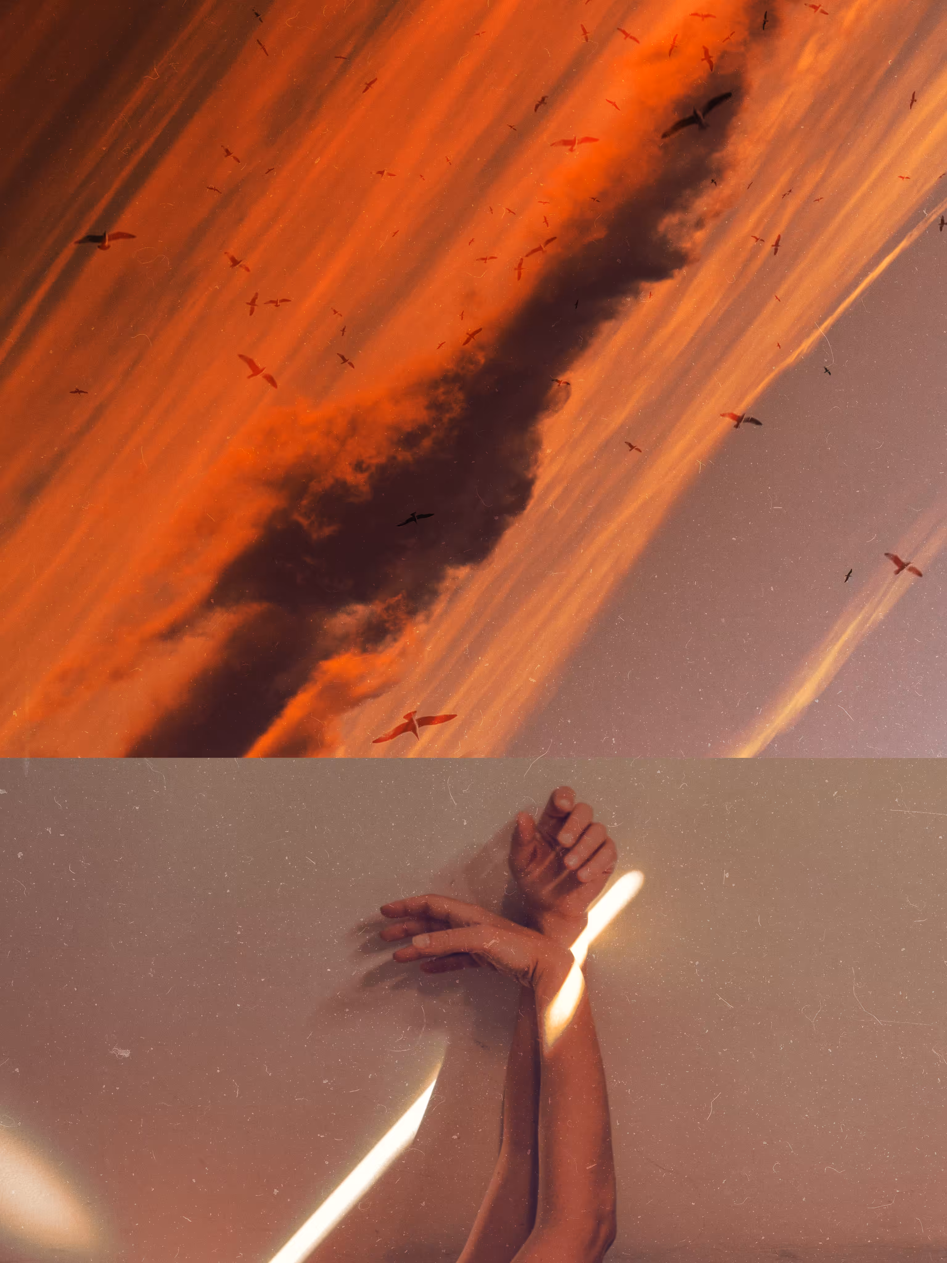 broken wings