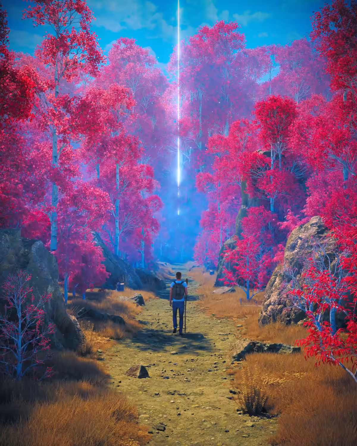 The Path