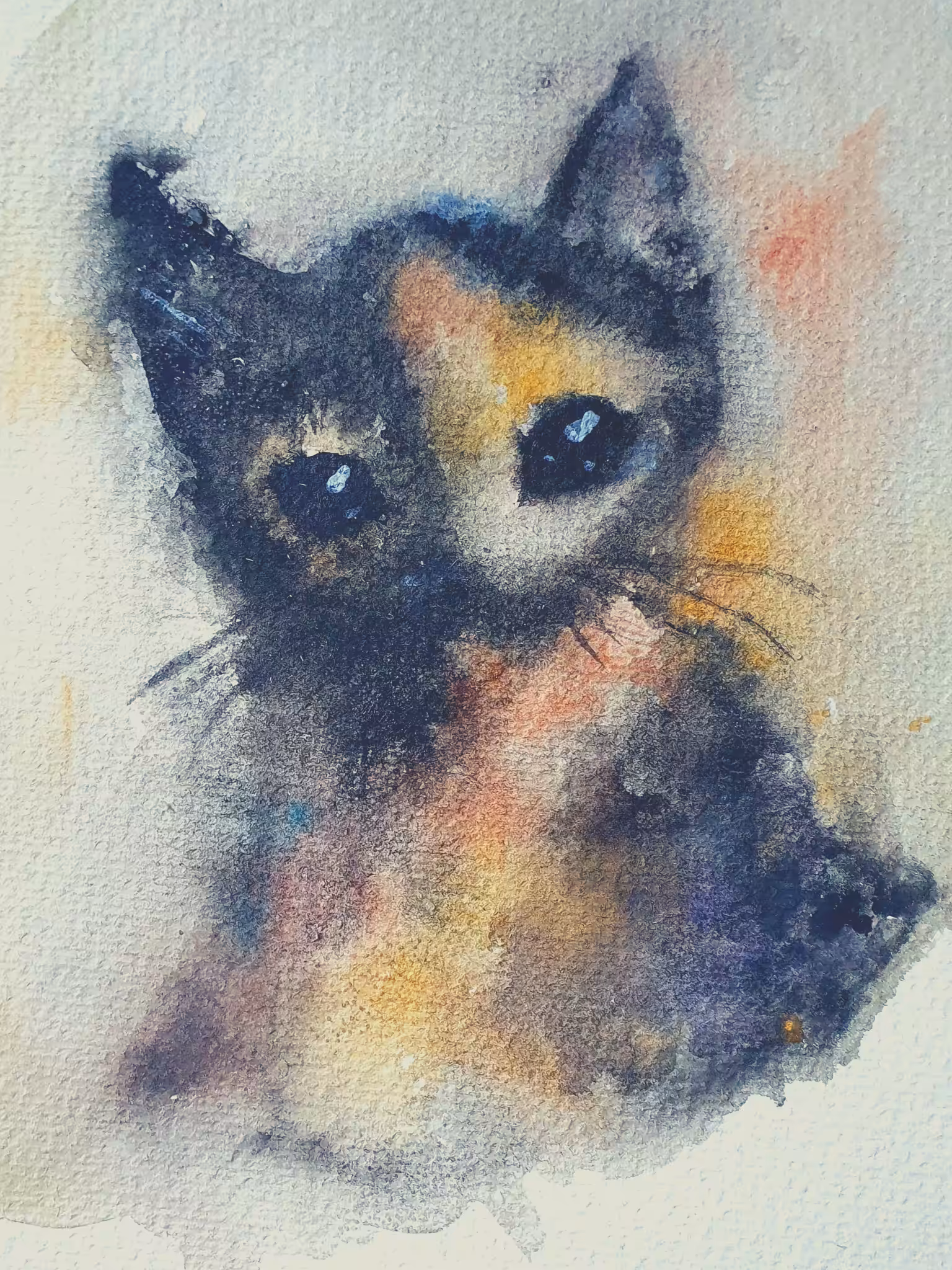 calico
