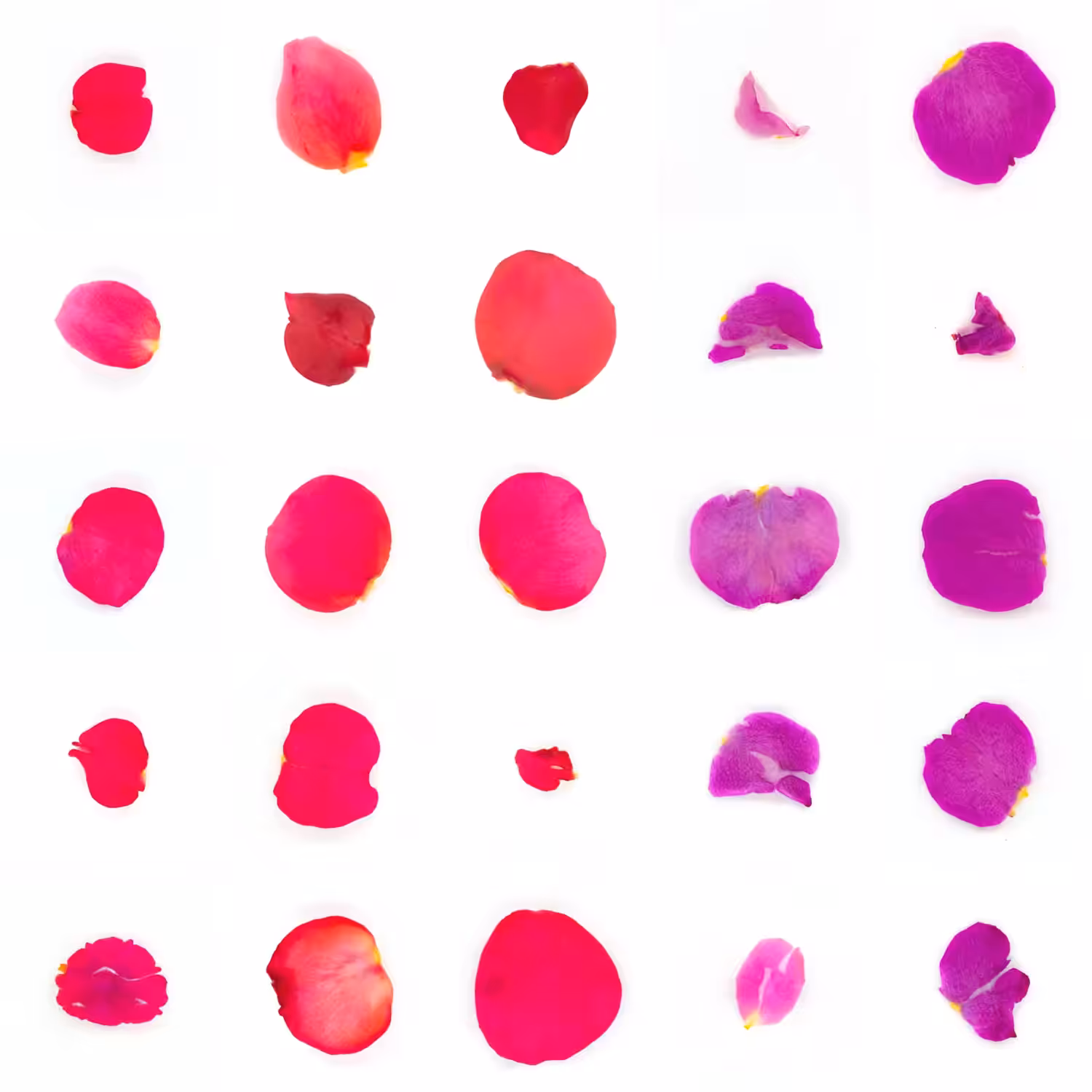 Infinite Petals 5x5#20929