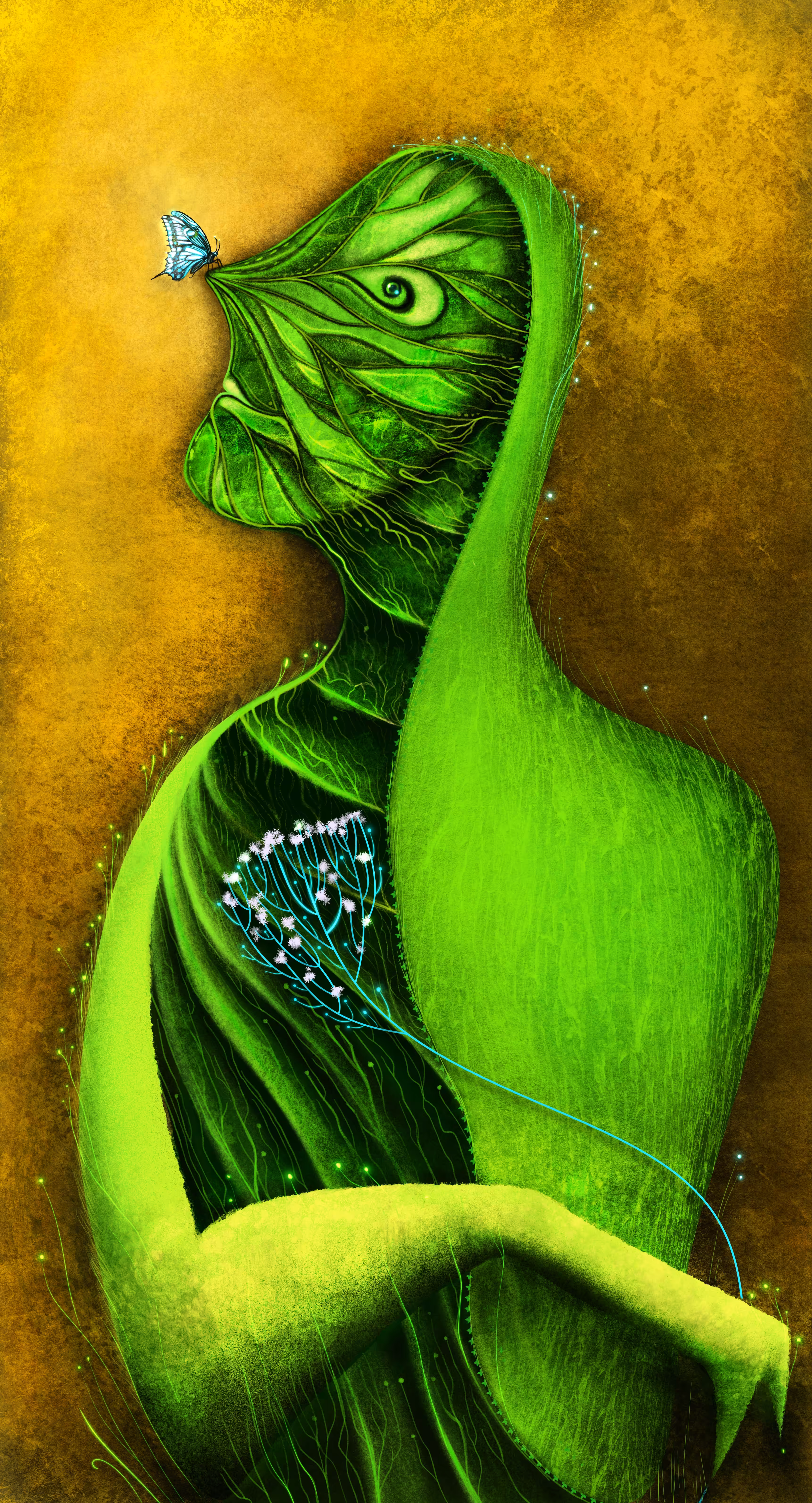 Shape of Spring Feelings