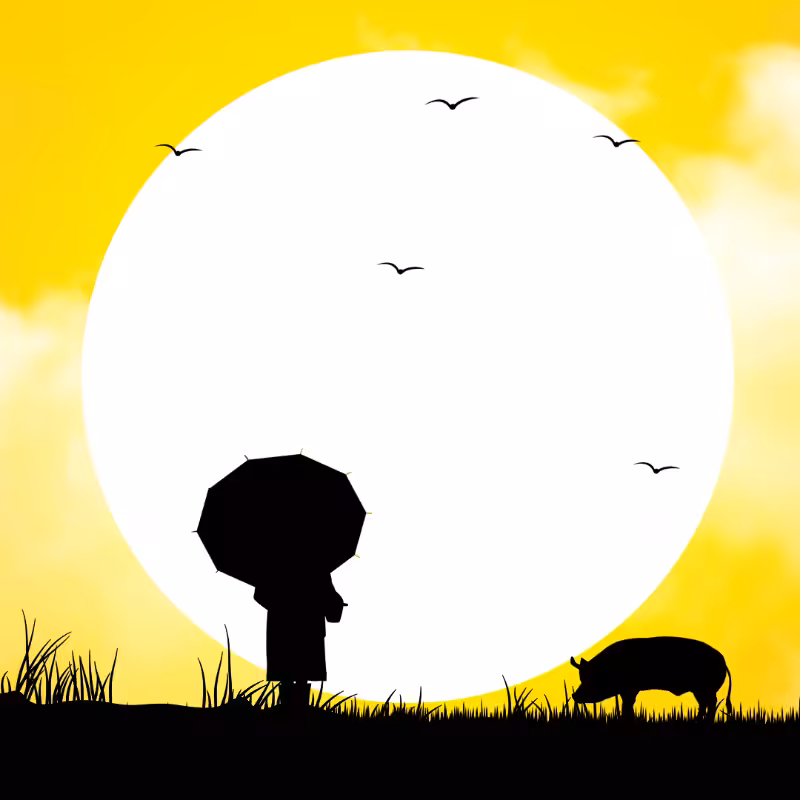 We Care...Pig #4