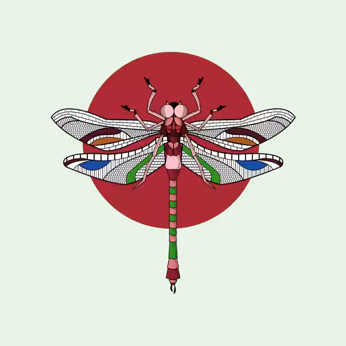 Anisoptera Tetradic: Radical Red