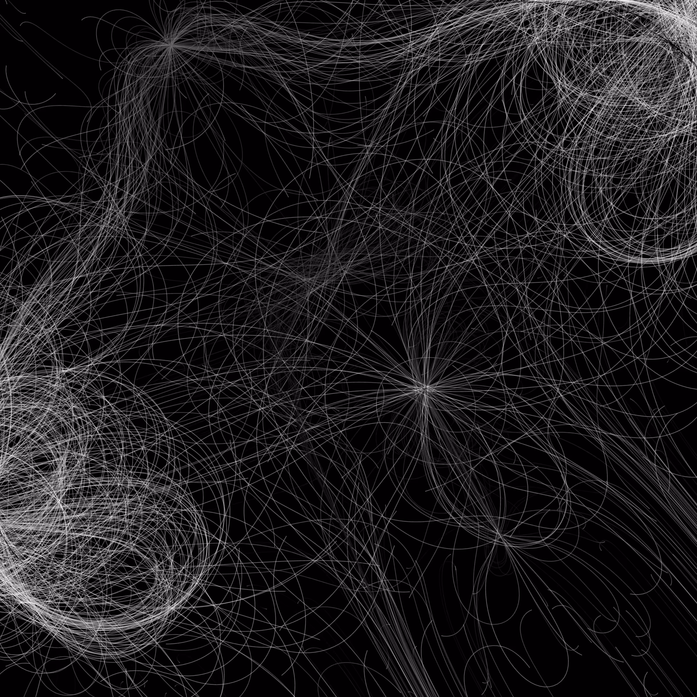 Phototaxis #918