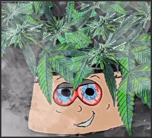 ℙ𝕠𝕥 ℍ𝕖𝕒𝕕