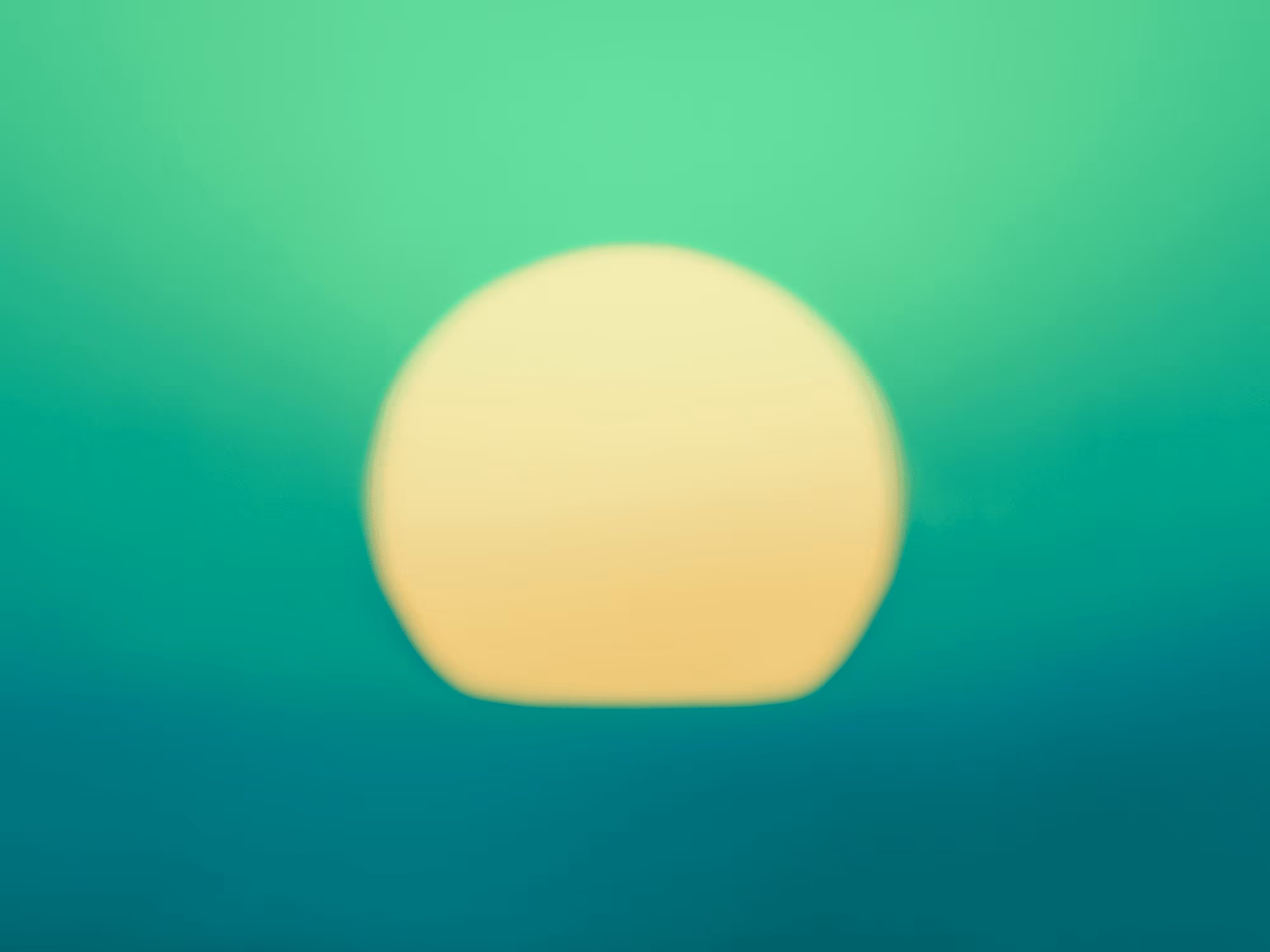 GM Sunshine No43