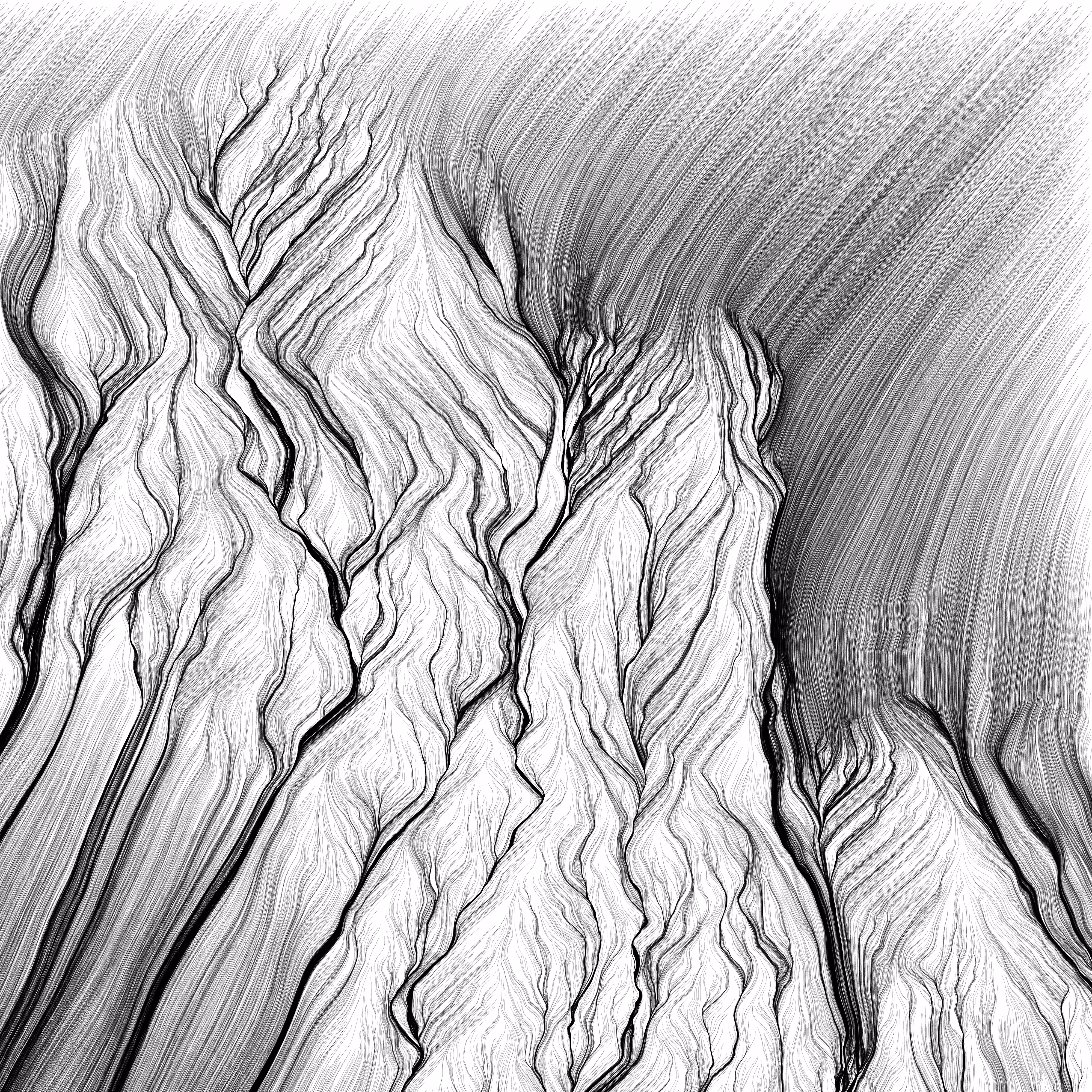 Linear Landscape 2021/01