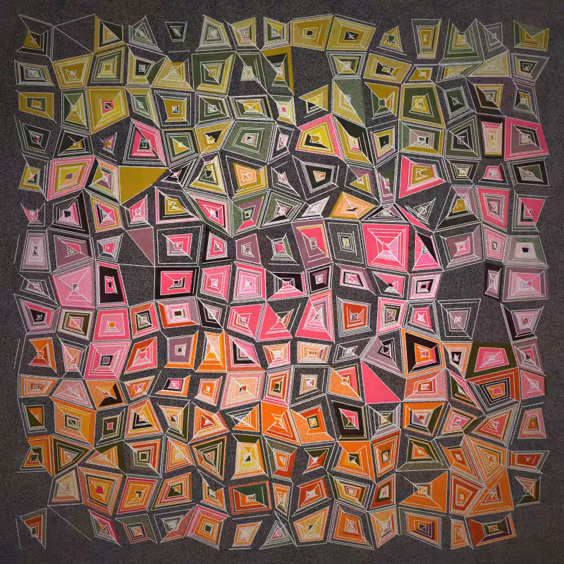 distorted.areas #37