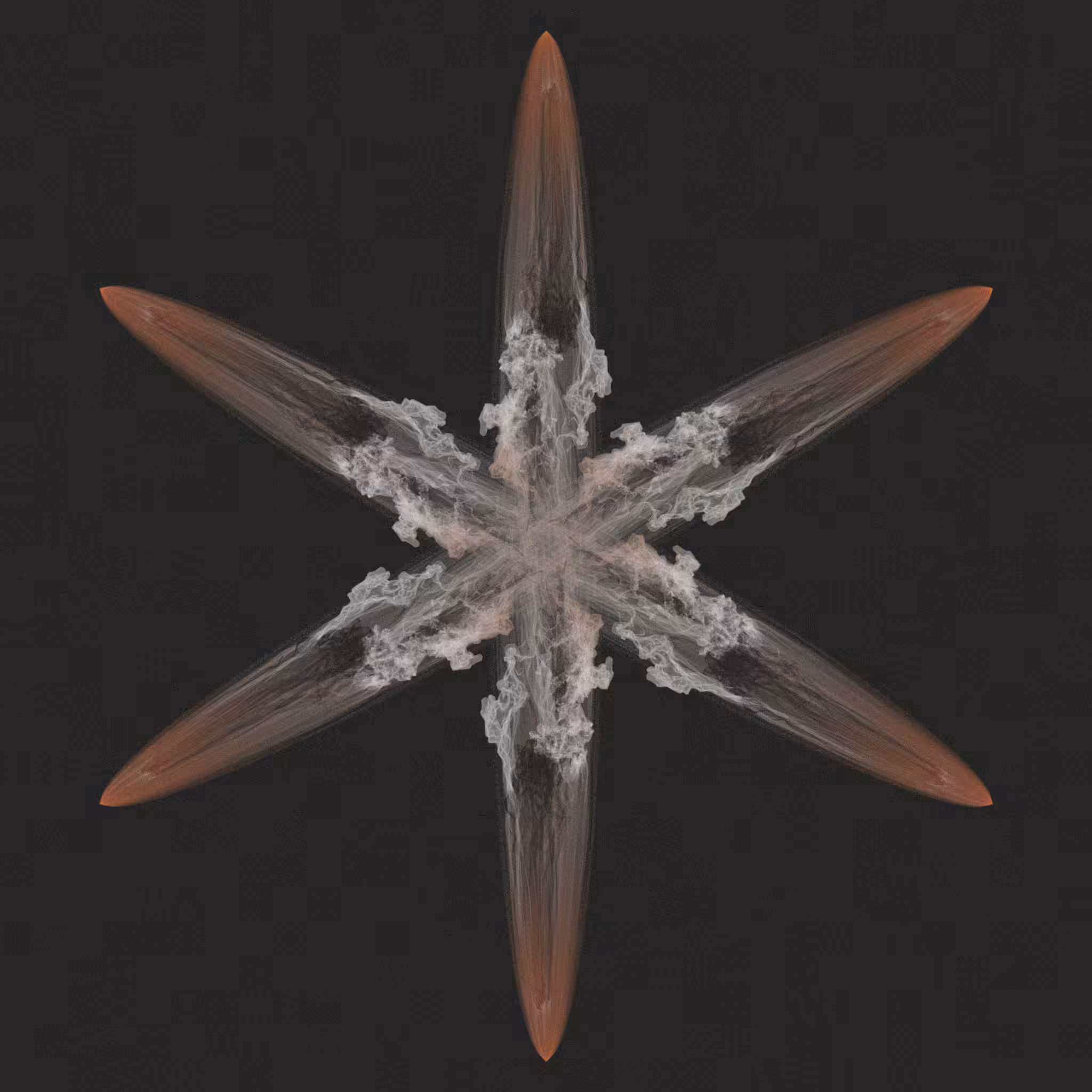 diatom #2/9
