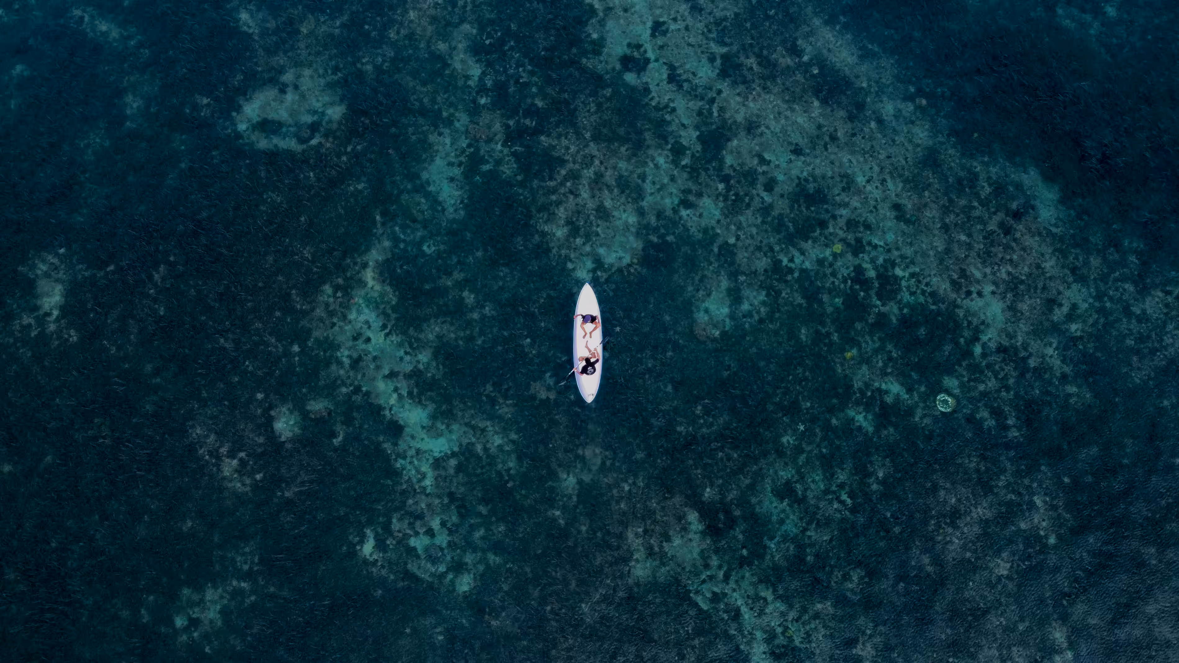 Blue Ocean || Colour Series