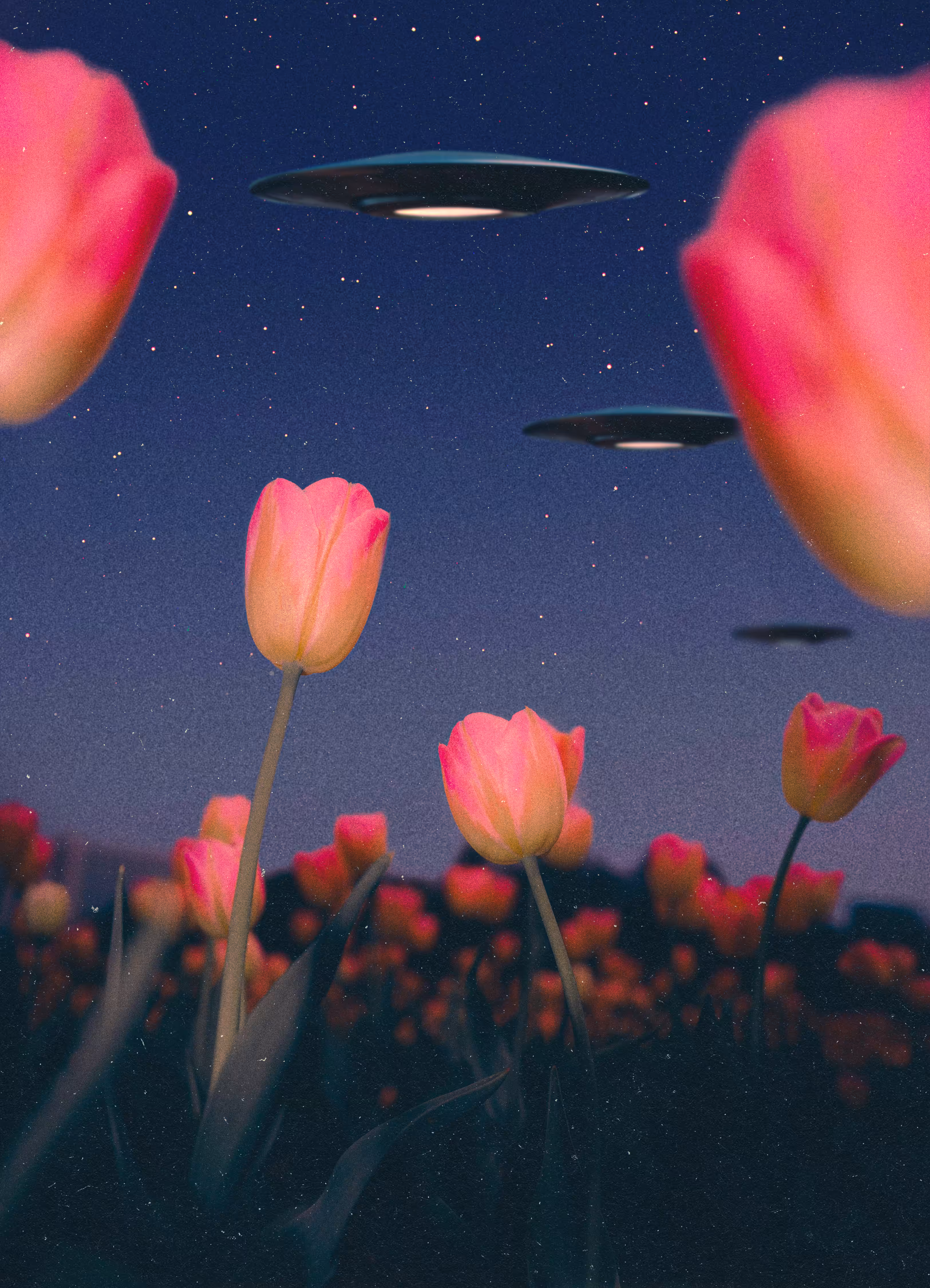 Alien Abduction from a Bug's Perspective, 2025