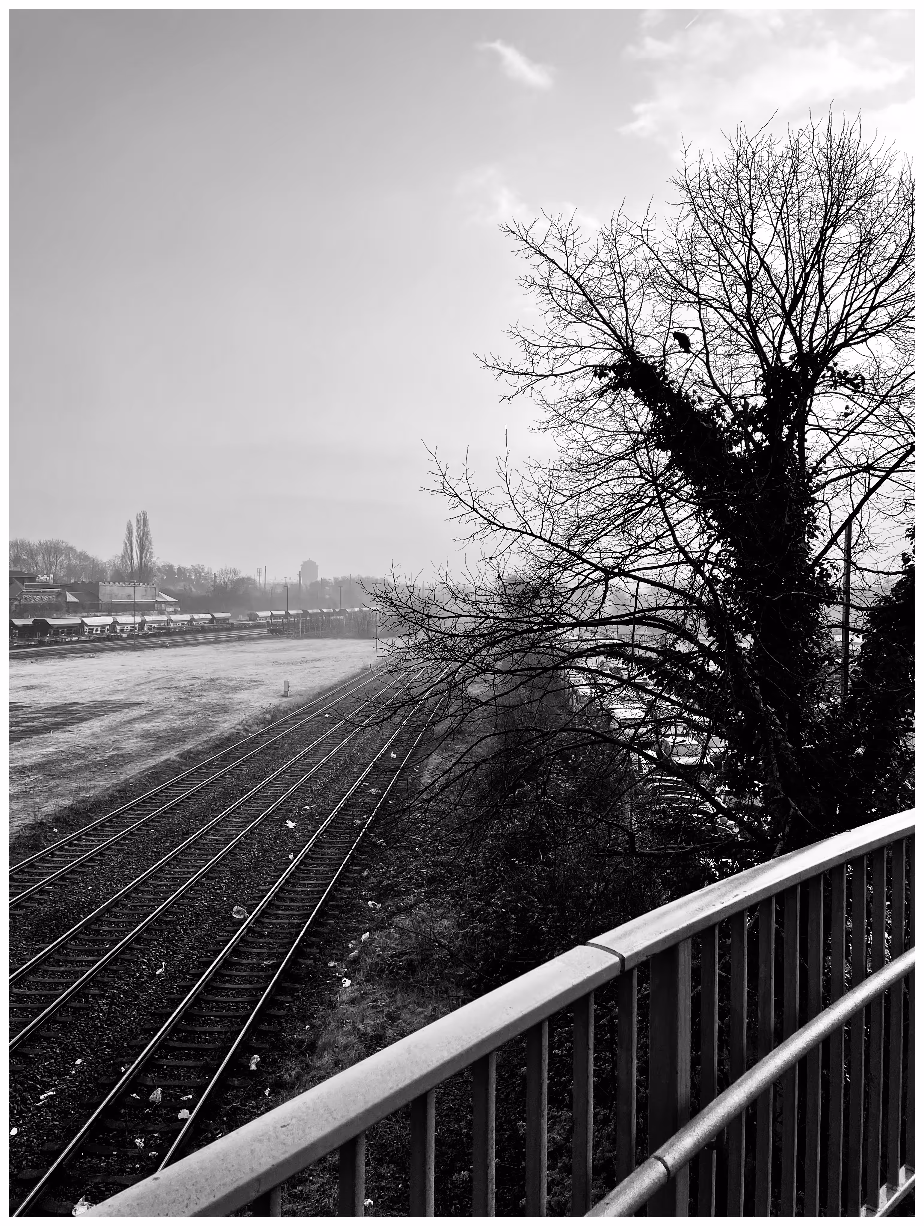 WTW_000_060324