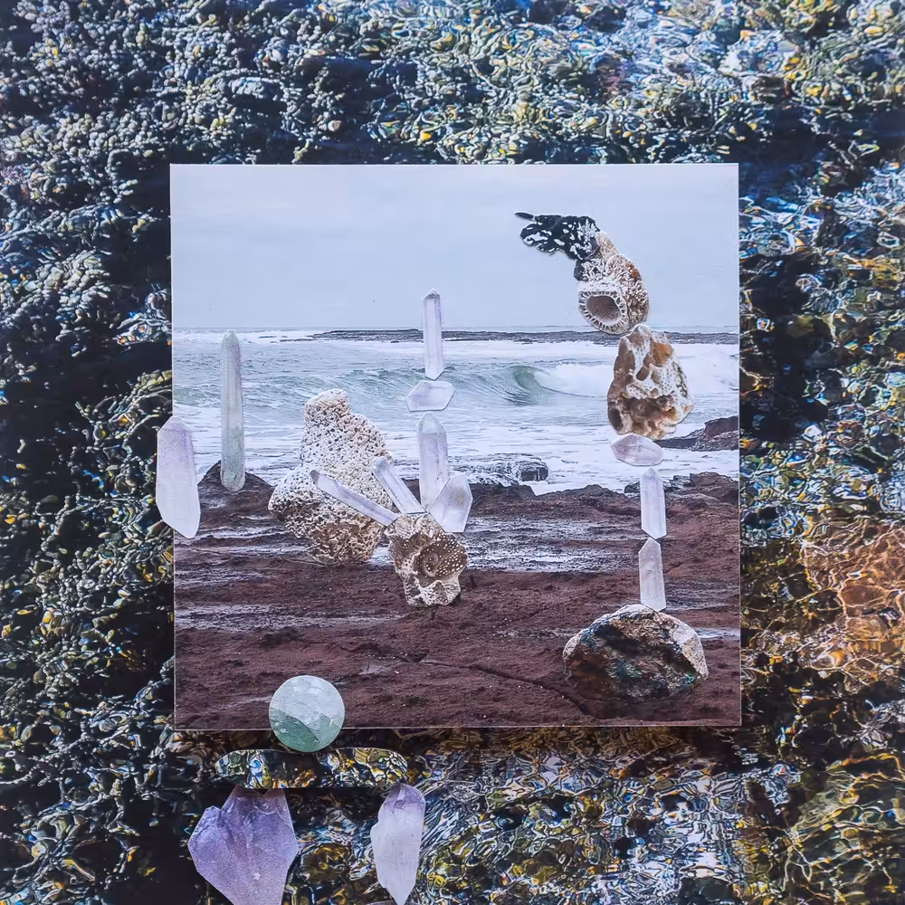 Stories of Place: Bass Point Reserve. Series 2.