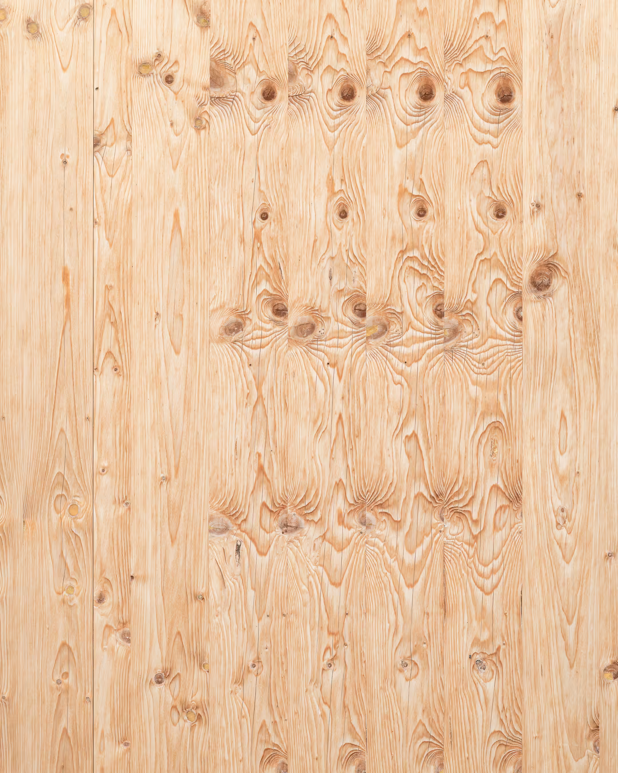 a door (a tree)