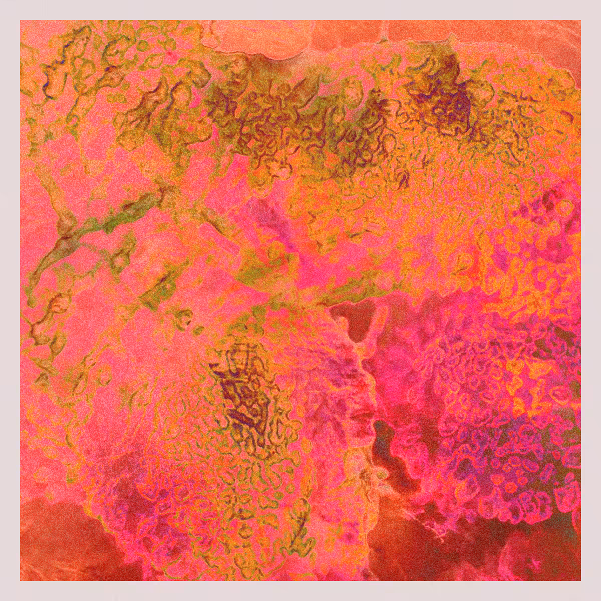 orGANics #7