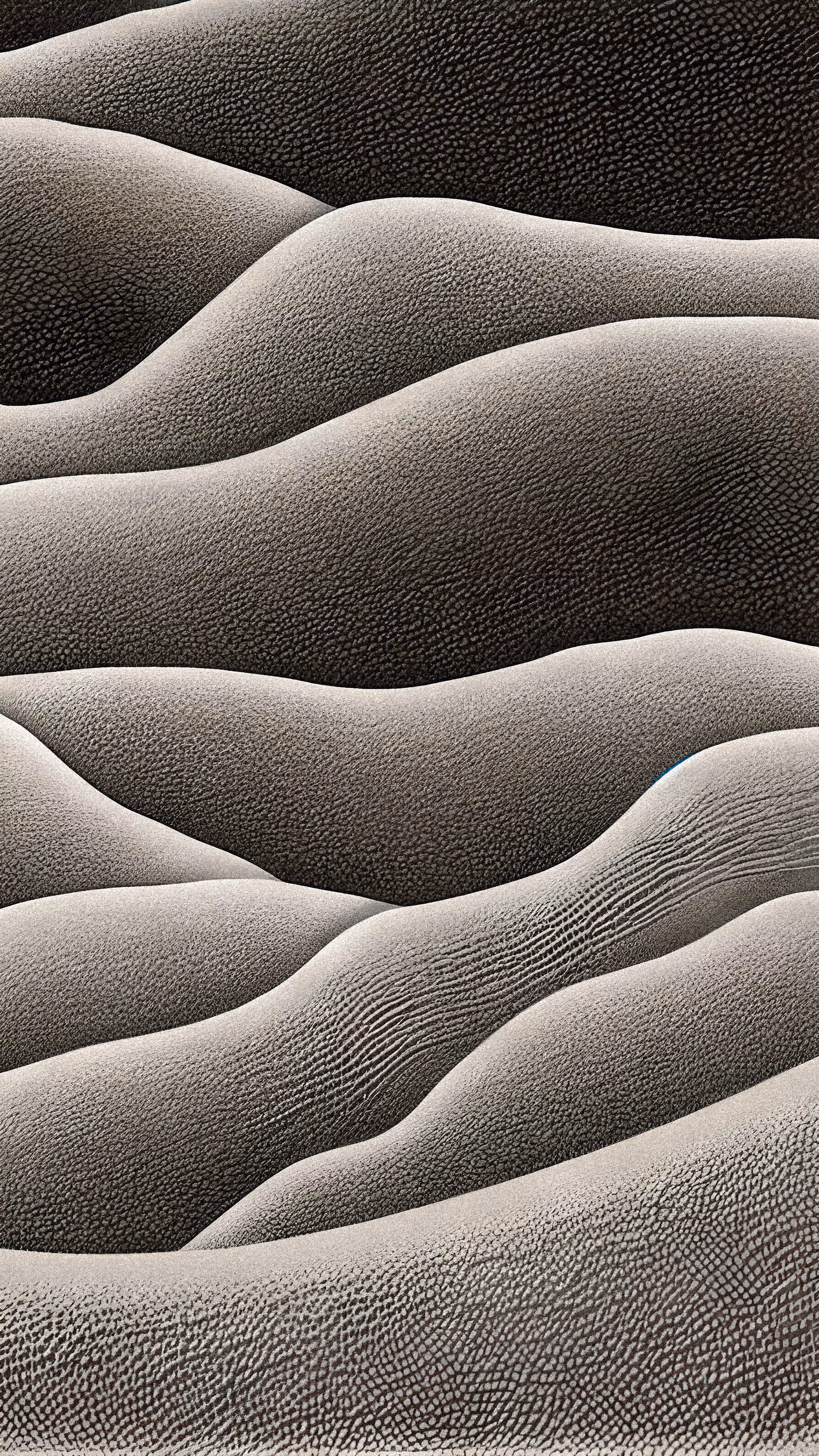 AI Landscape #52