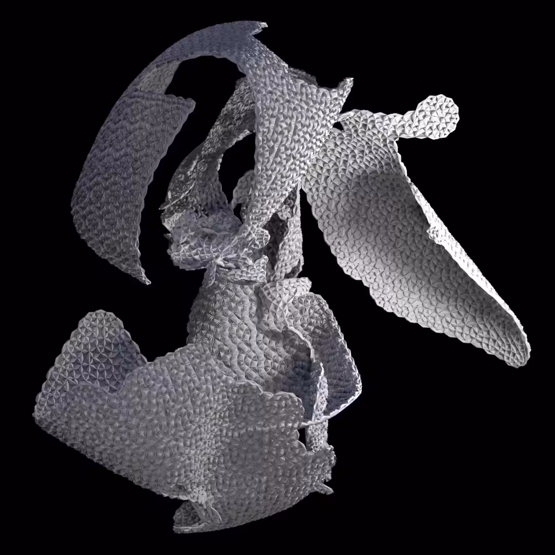 Whirling Dervish