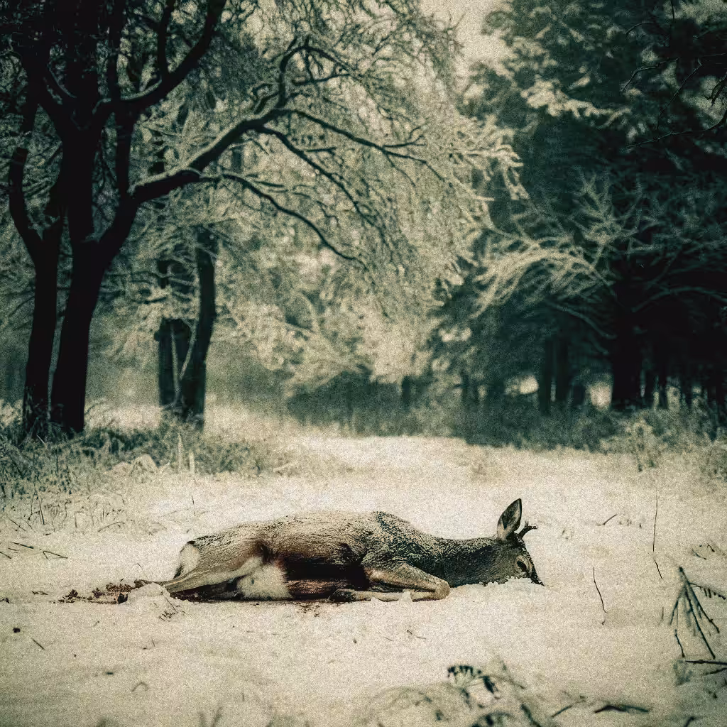 Last Breath