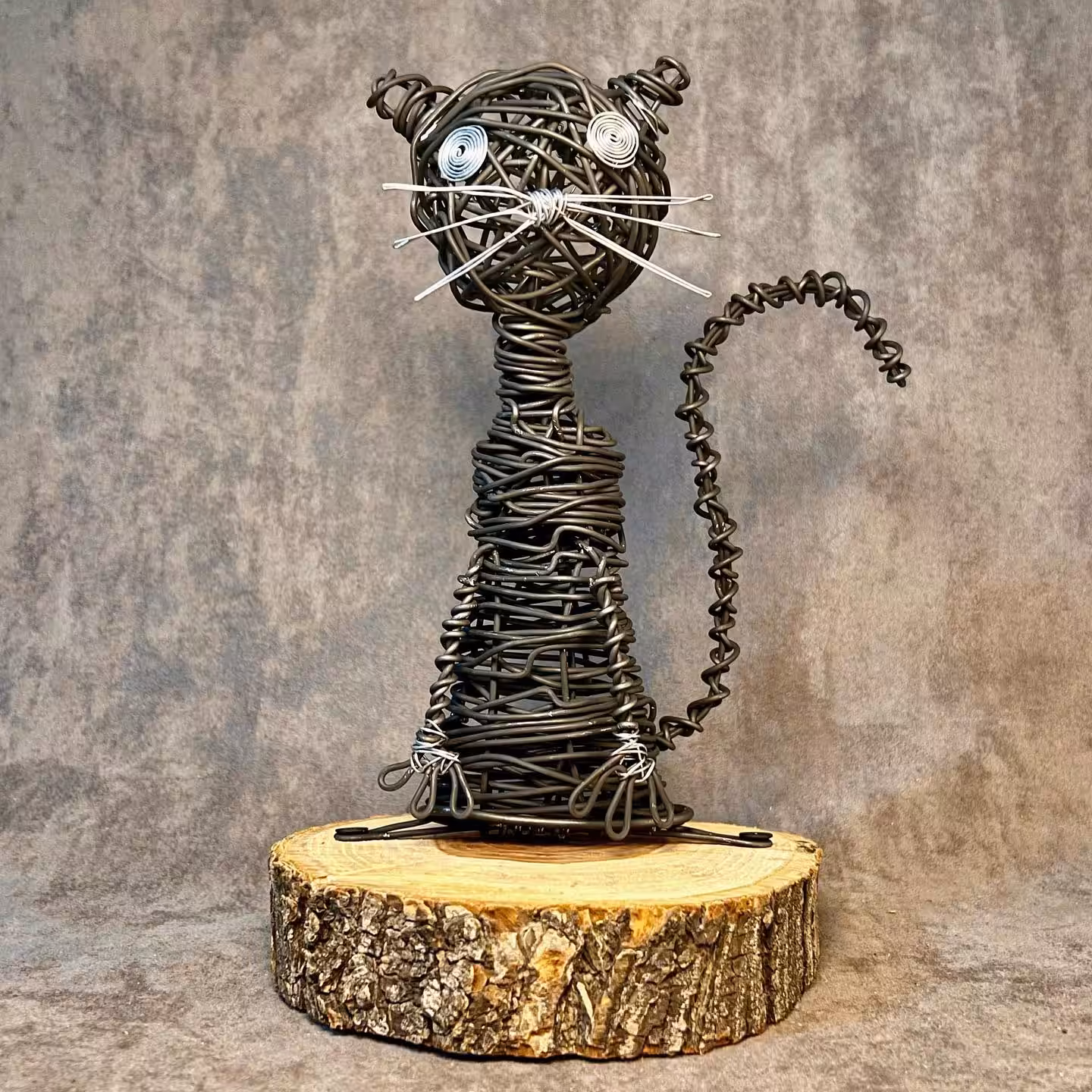 Wired cat