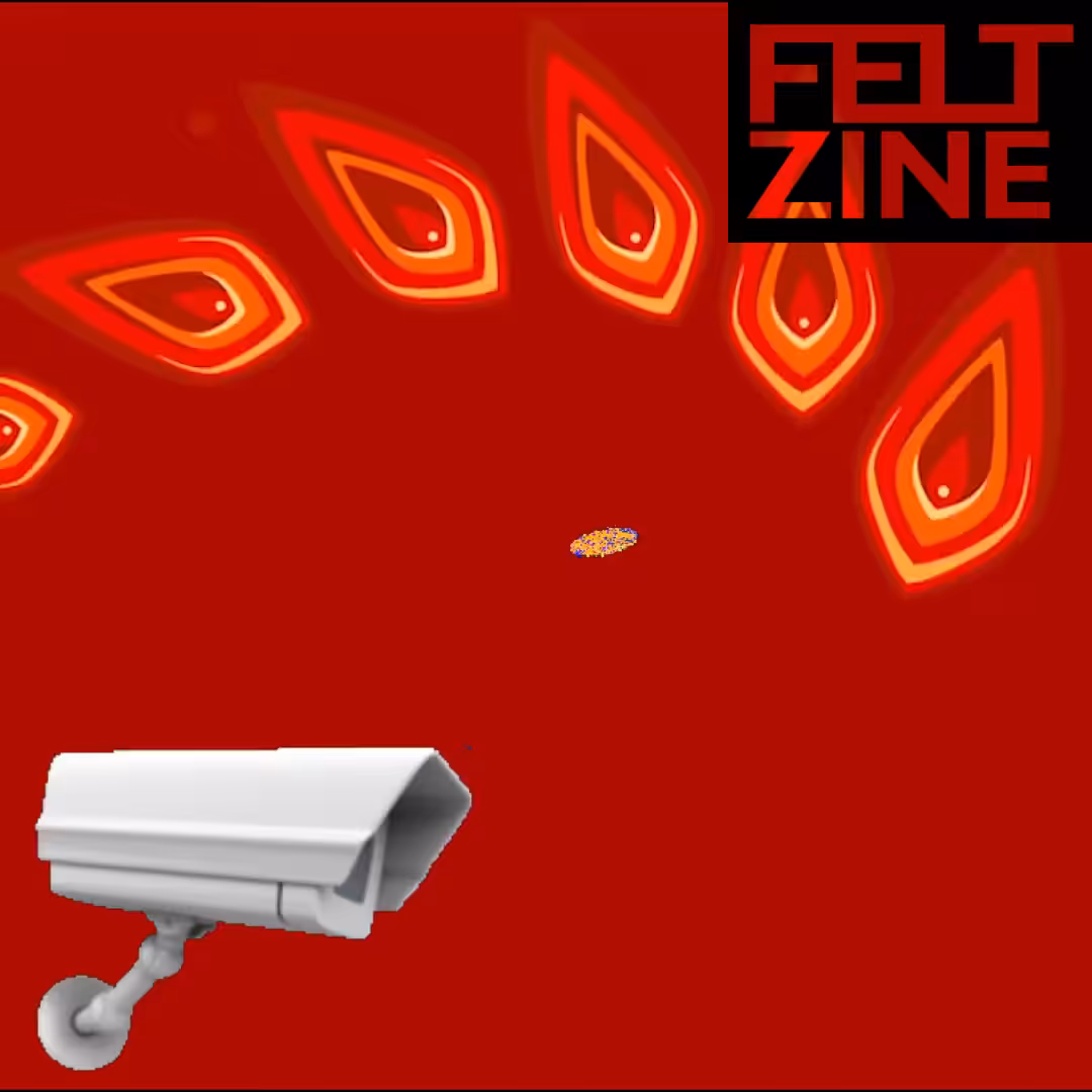 Canvas by Felt Zine: Canvas #398: upgrade. — watching. — flowers. — black box logo. — bleep