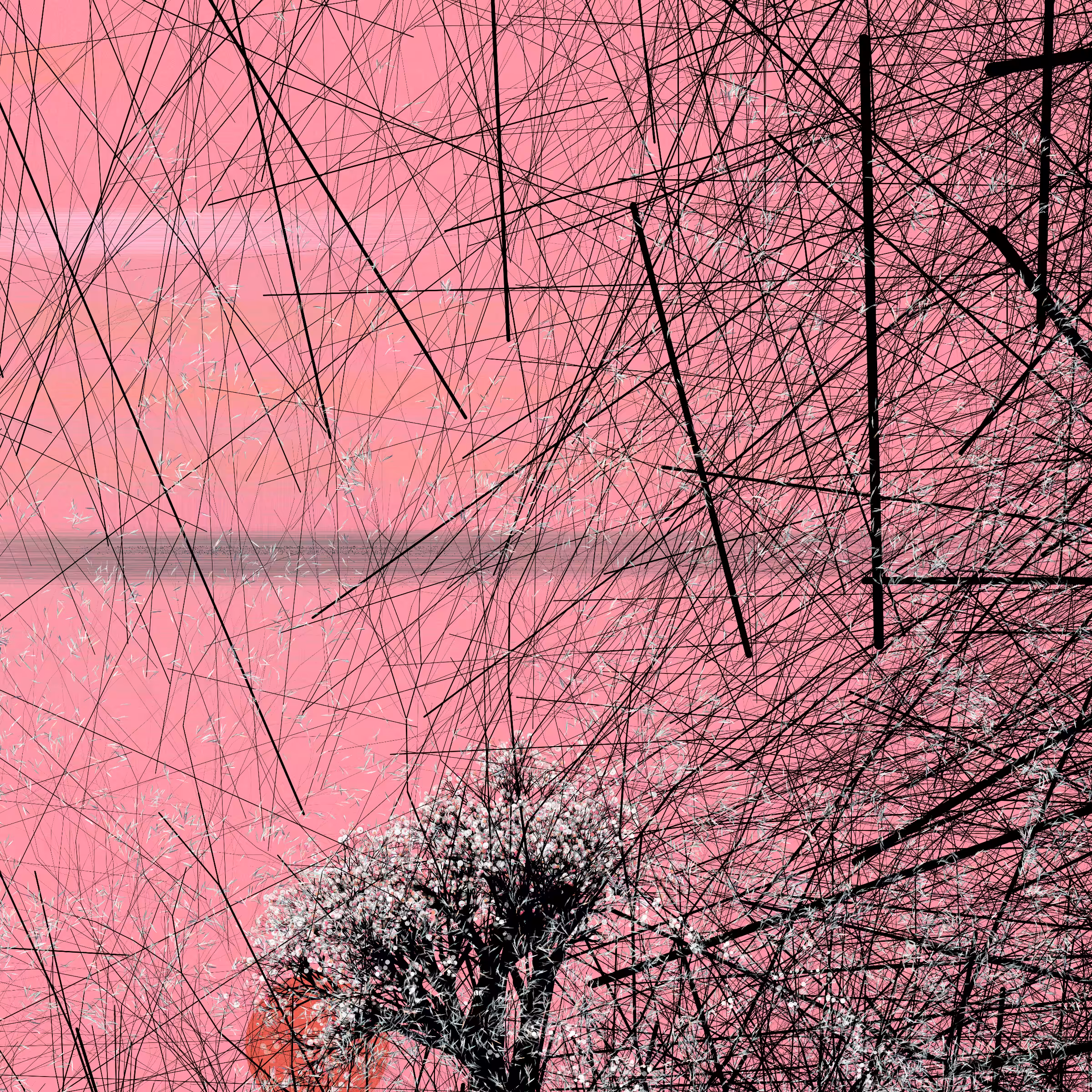 conversation with the wind #977
