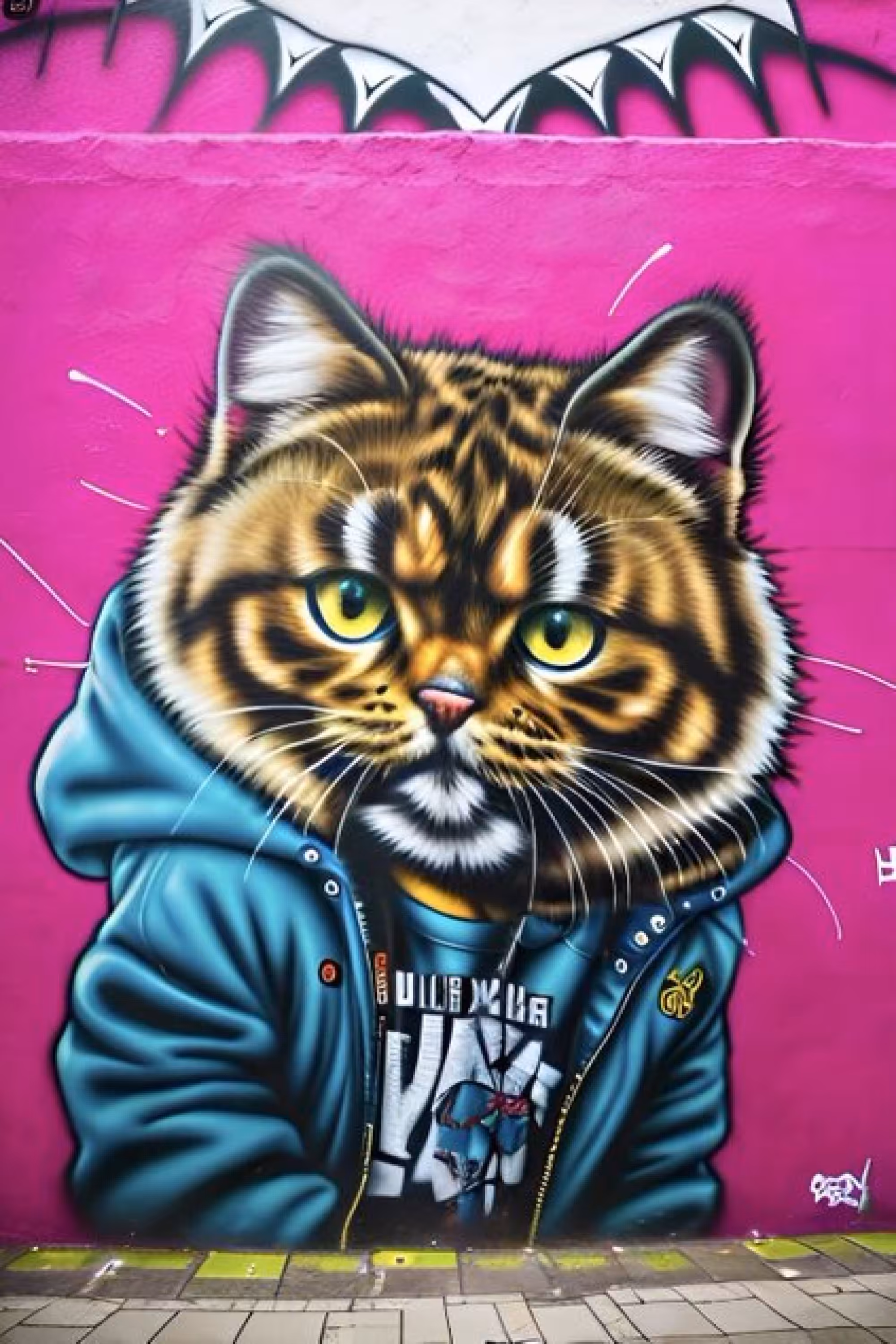 Cool Colorcat  5