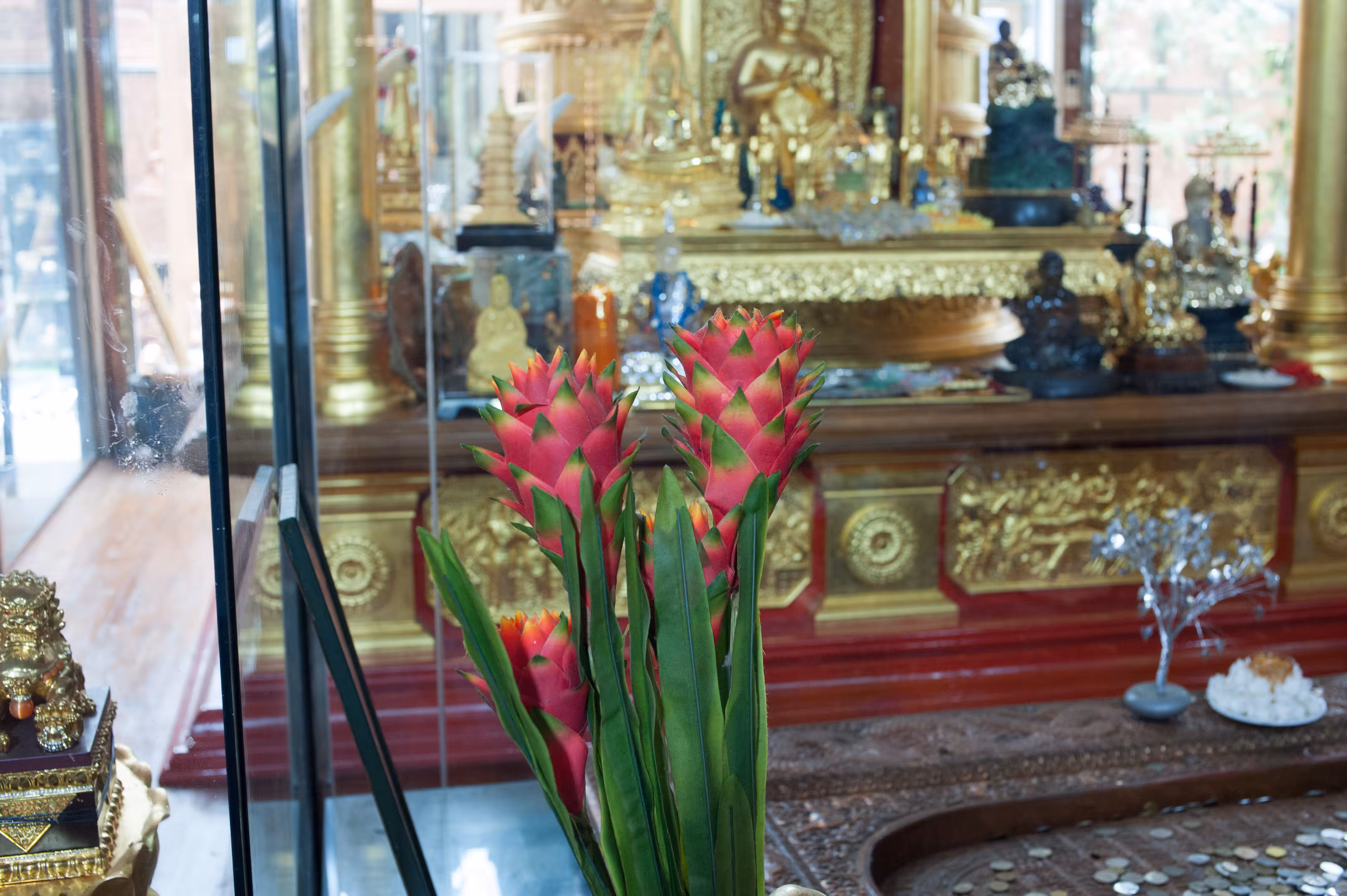 Day22- Golden temple Rhapsody
