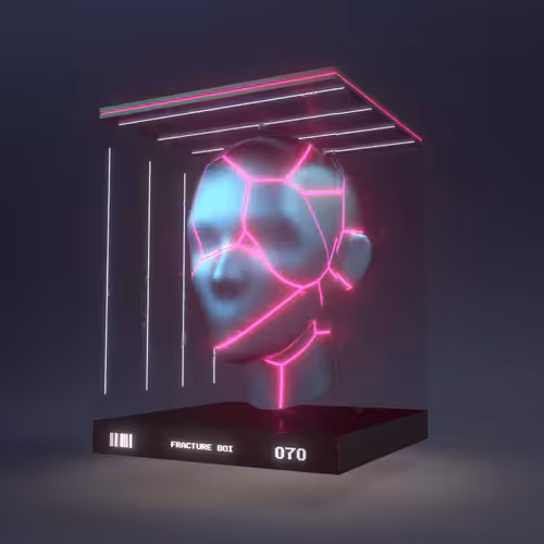 FRACTURE BOI - 070