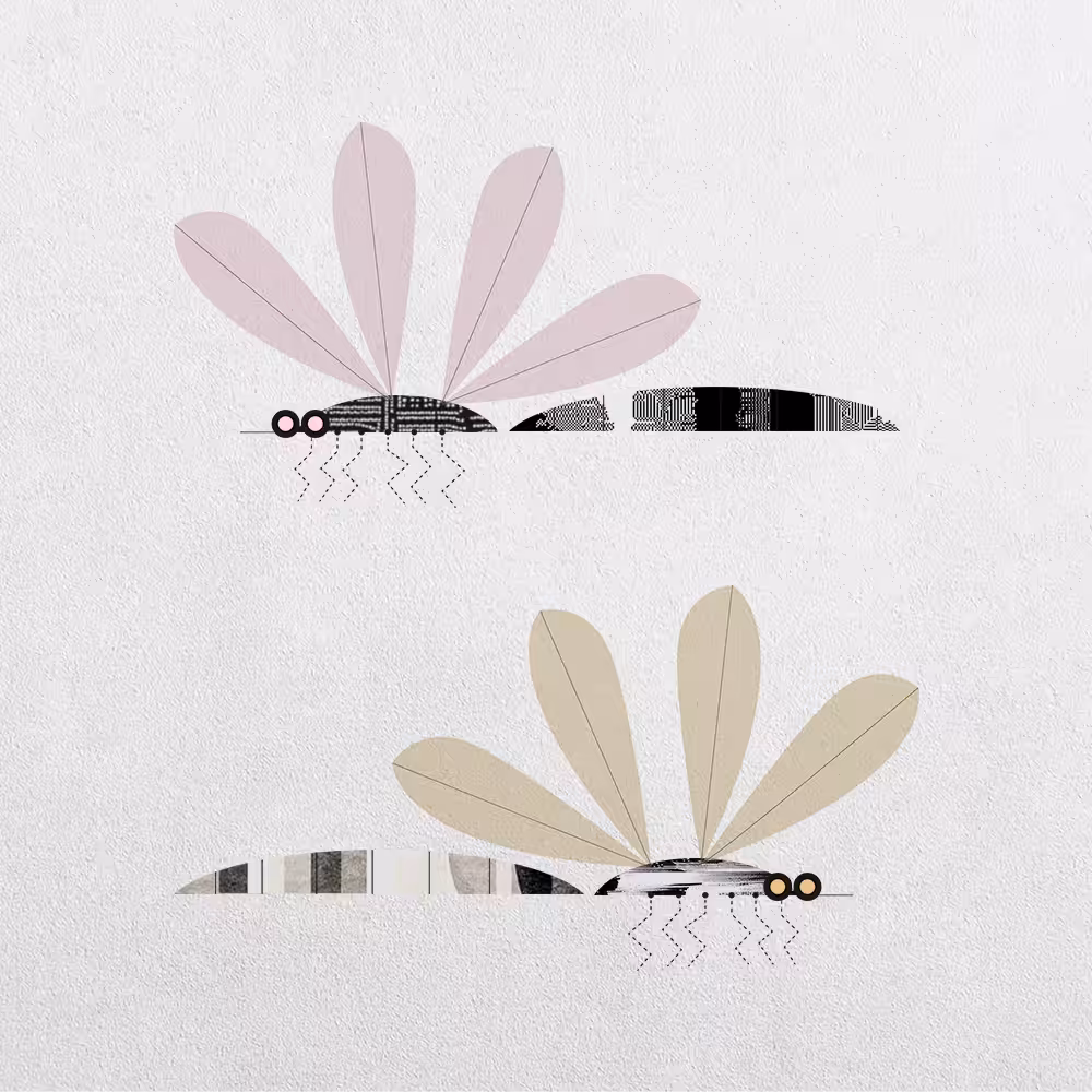 Mosquito Abstraction #3