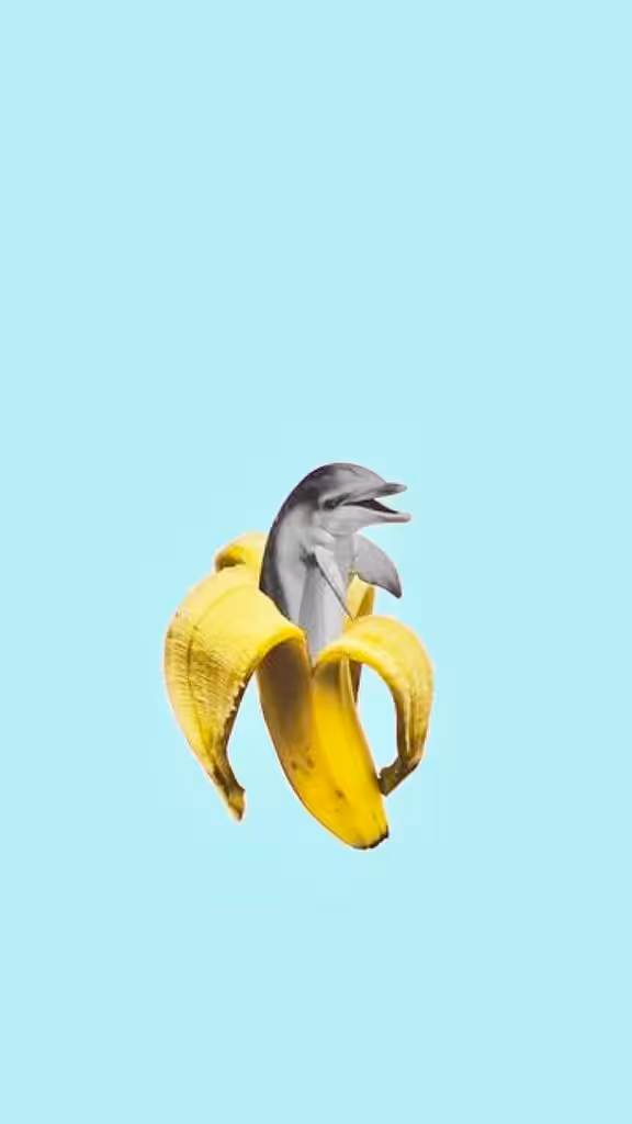 Dolphanana : Tropical Evolution