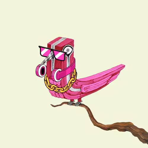 Bolbol, The Bird 081