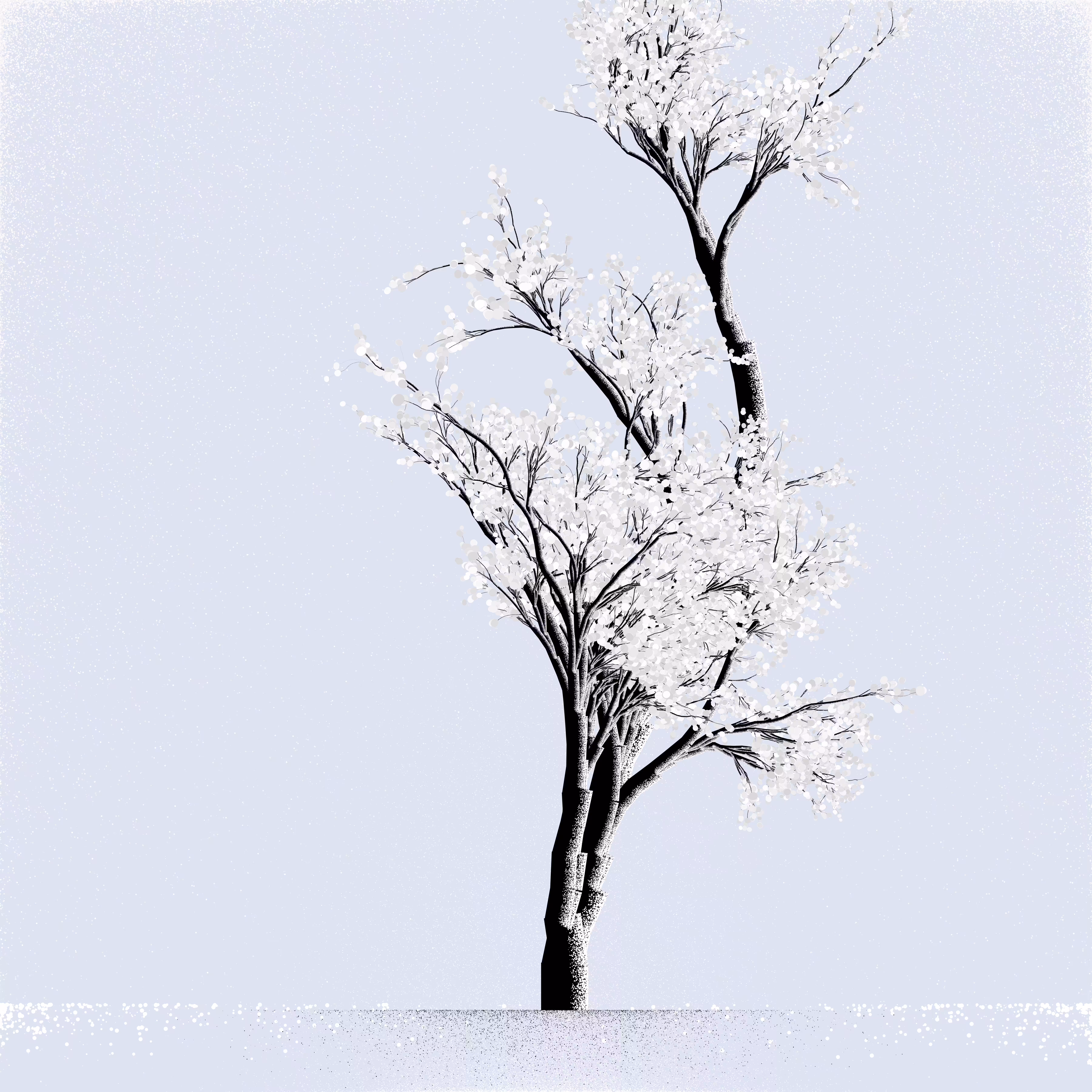 Snow Tree #2