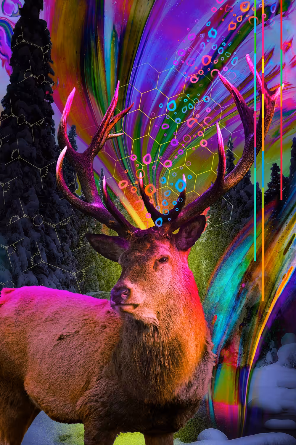 Life in Colour