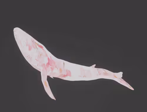 SAKURA_whale