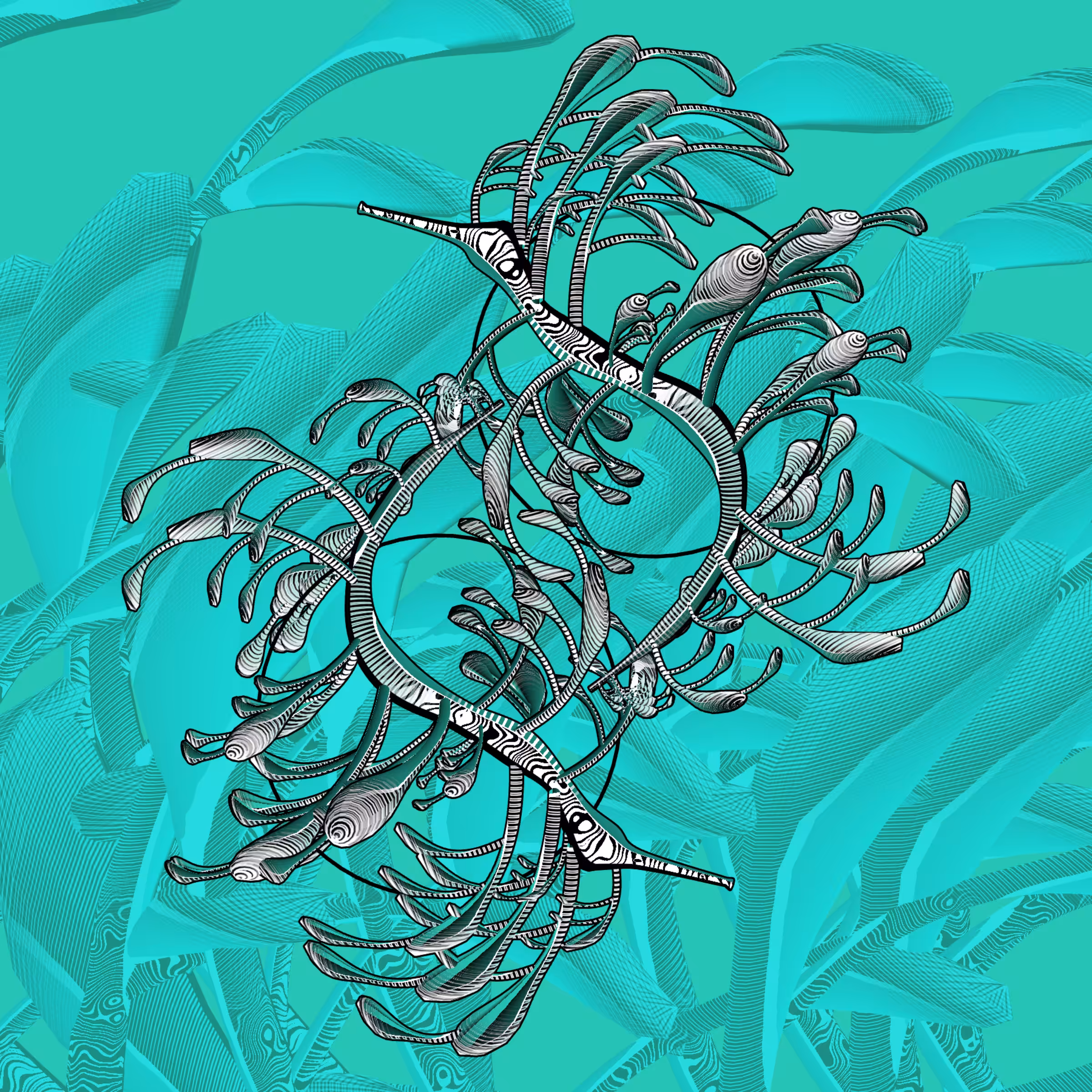 Seadragons #628