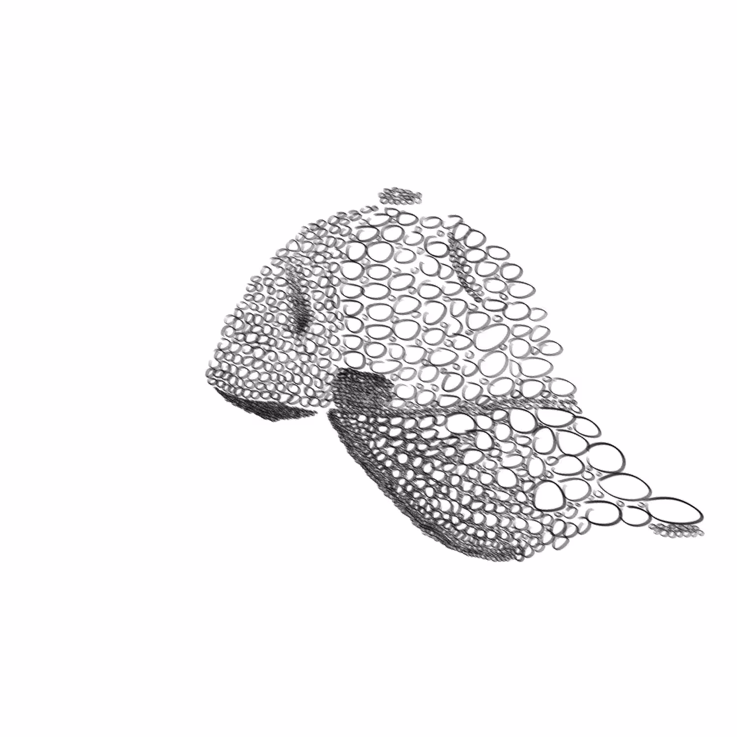 superimposed interpretations of a cap