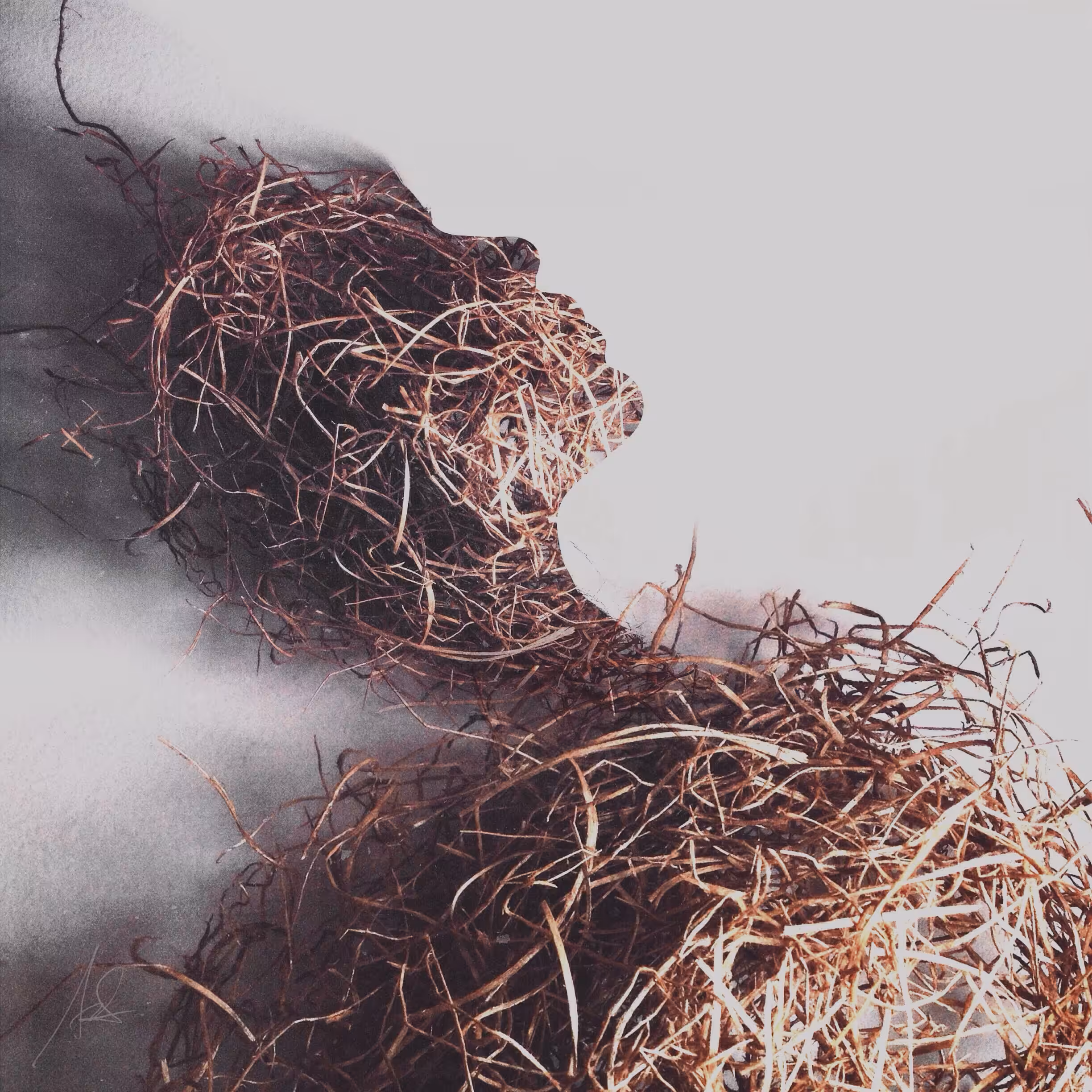 Scarecrow ºX