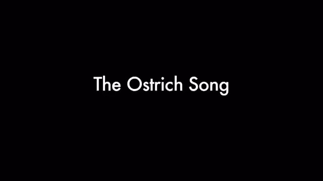 Ostrich Song