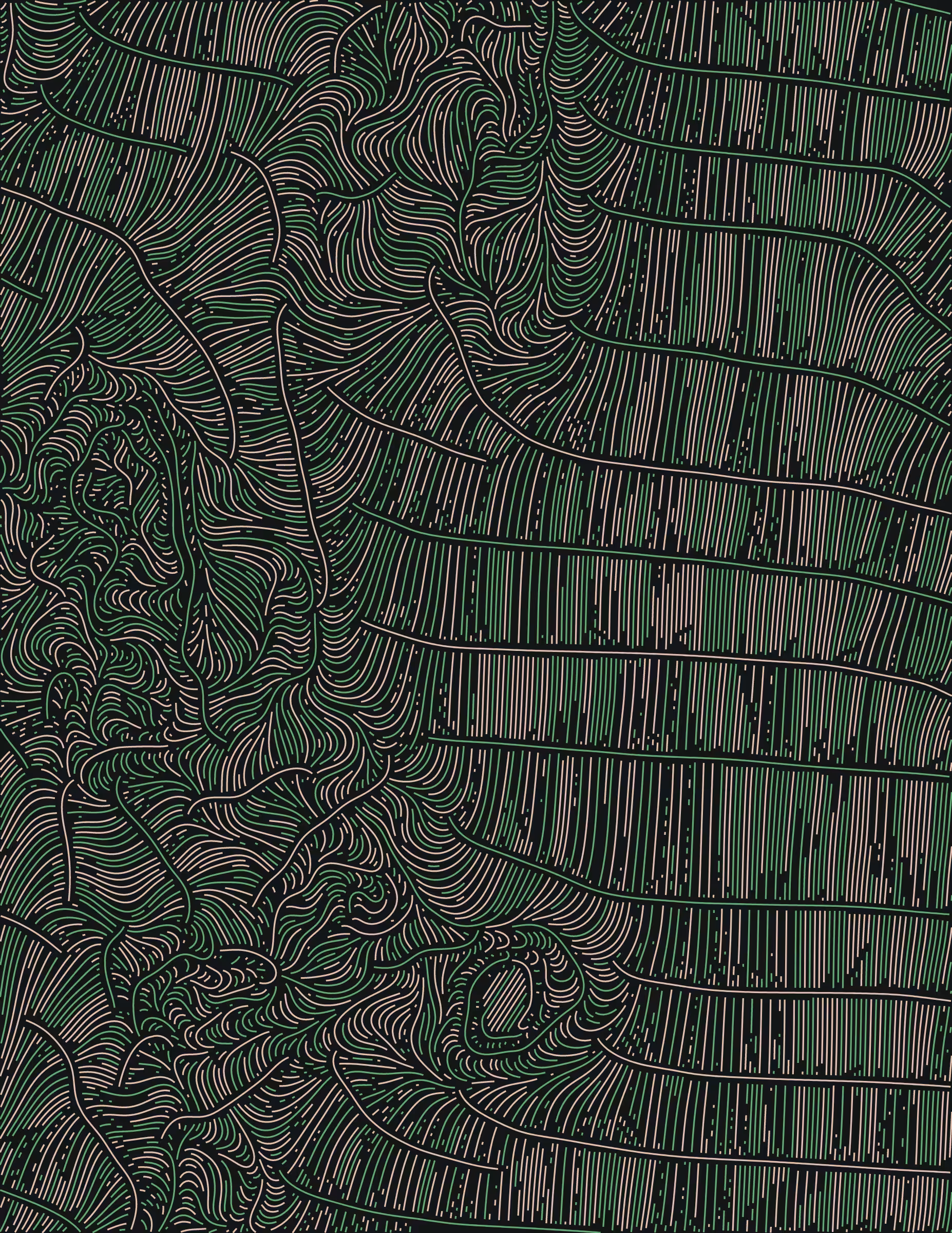 Streamlines #75