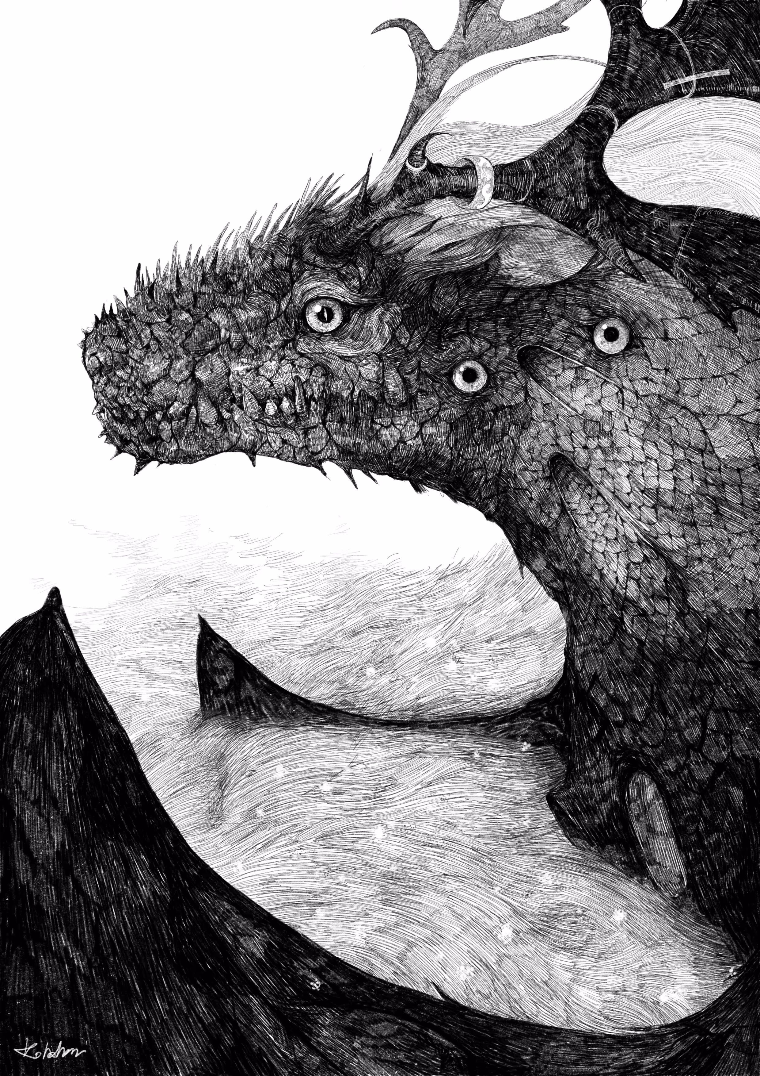 the dragon by kolahon
