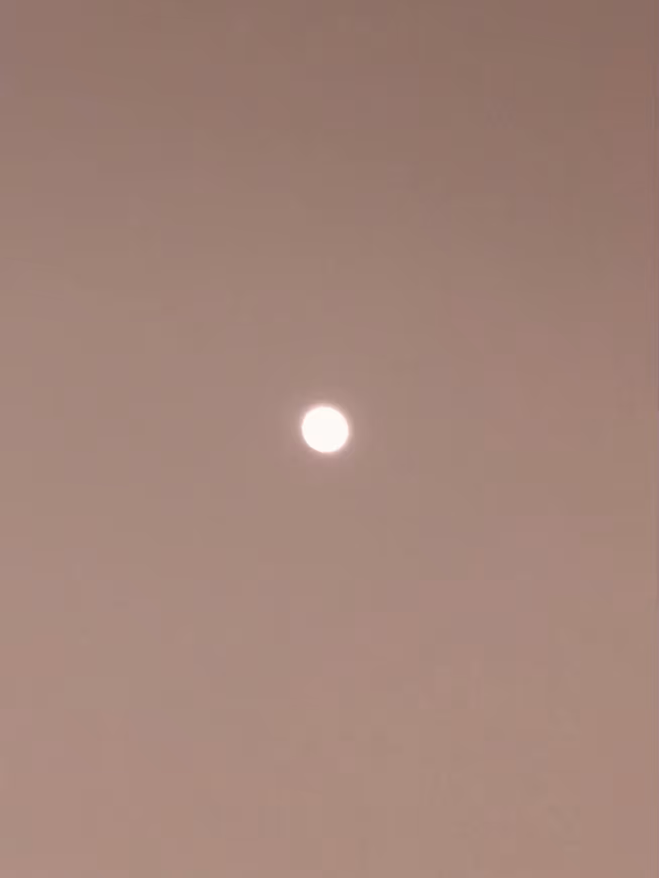 still moon (2 of 2)